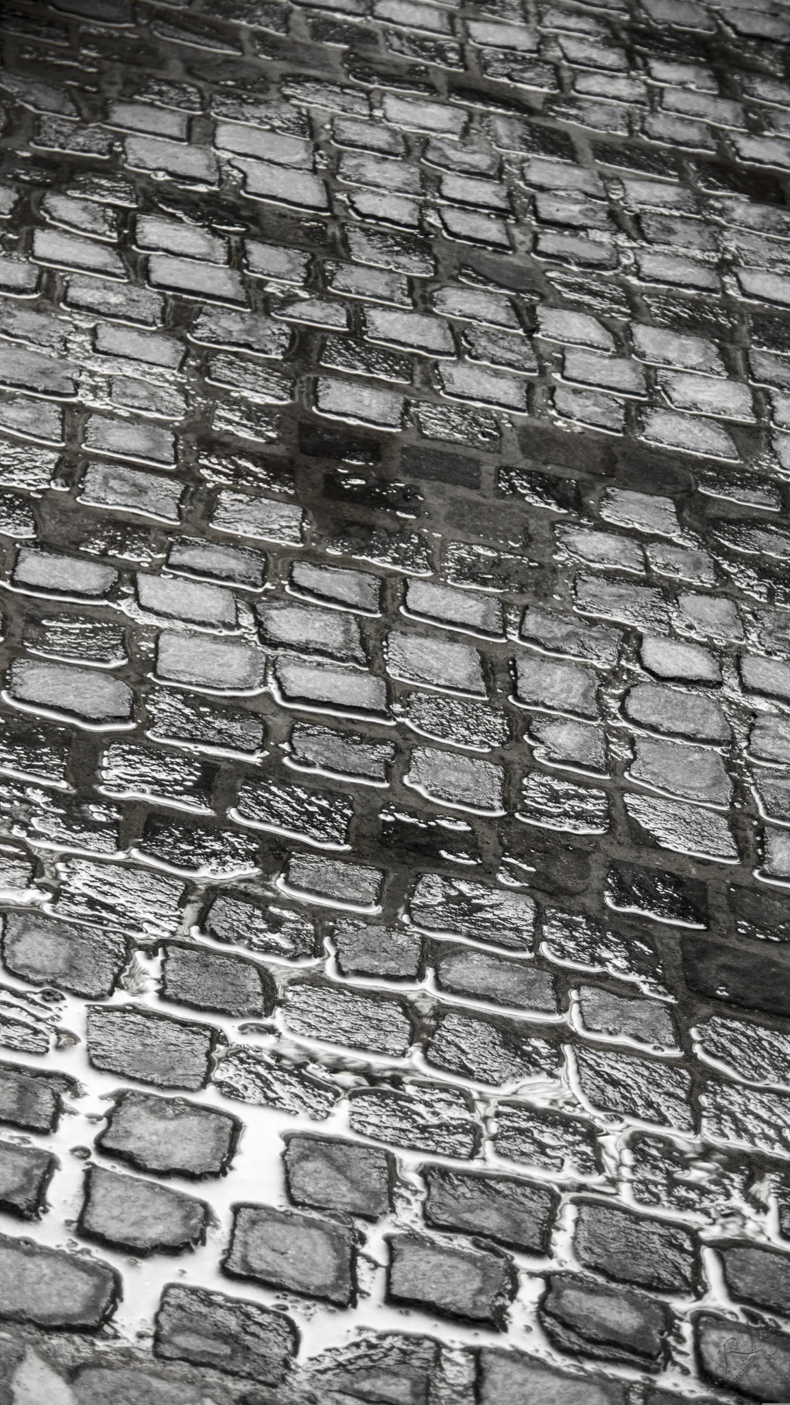 Sony SLT-A77 sample photo. Wet cobbled path photography