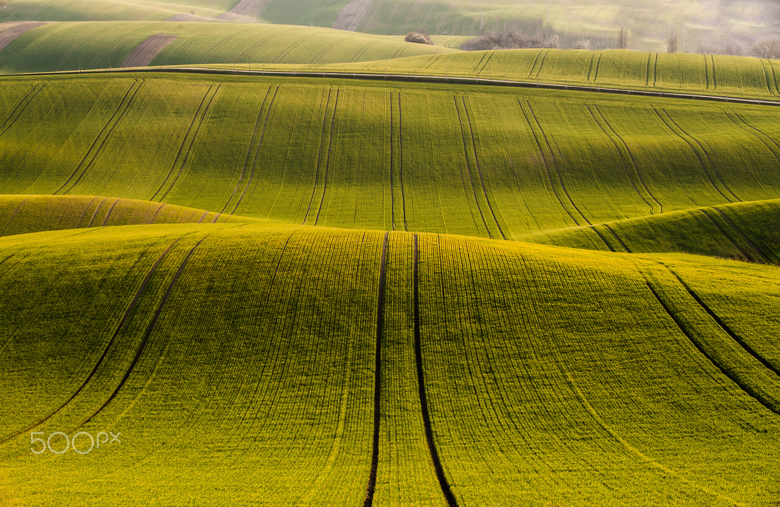 AF-S Zoom-Nikkor 80-200mm f/2.8D IF-ED sample photo. Moravian waves ii. photography