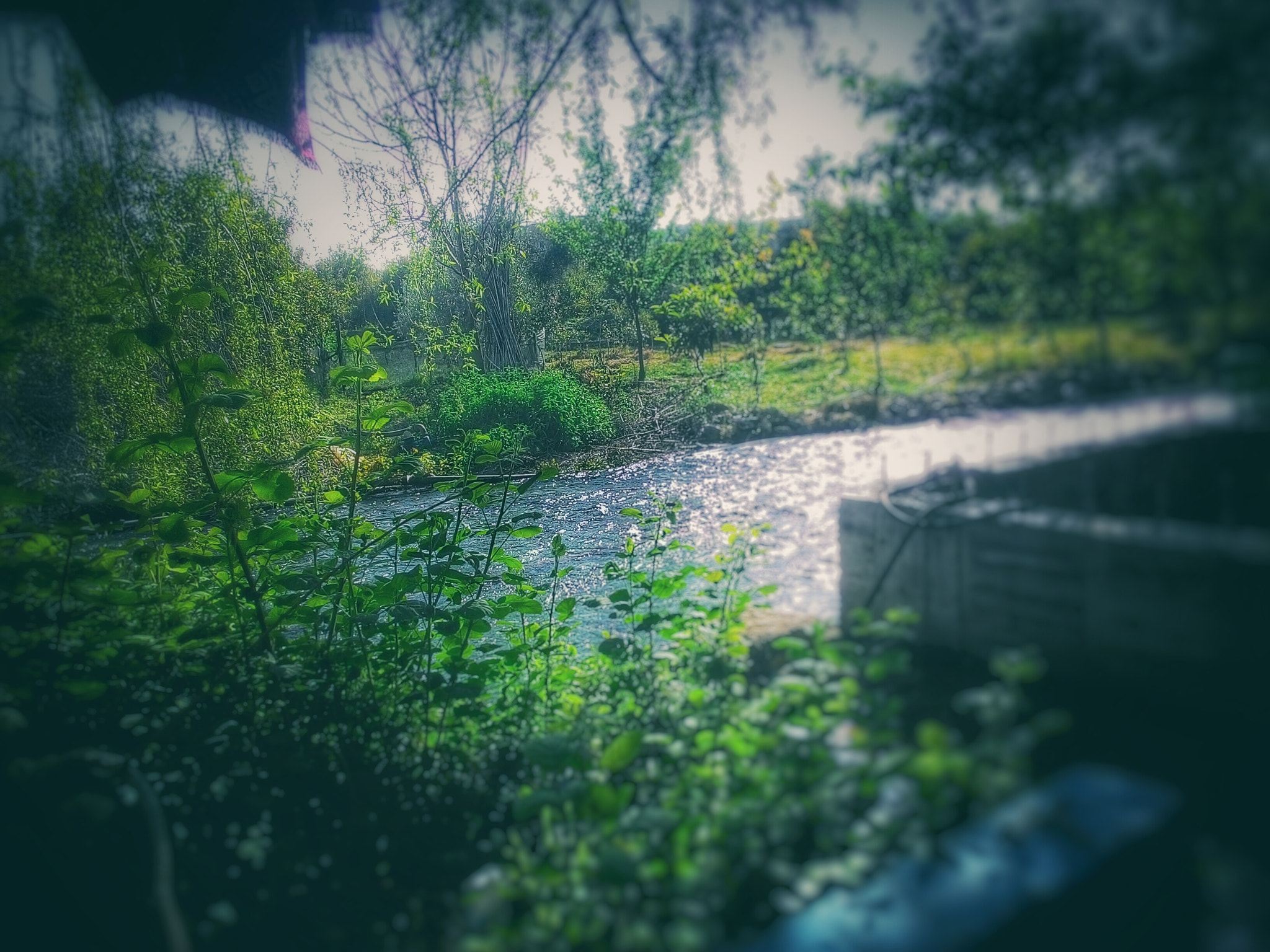 ASUS T00J-D sample photo. The river photography