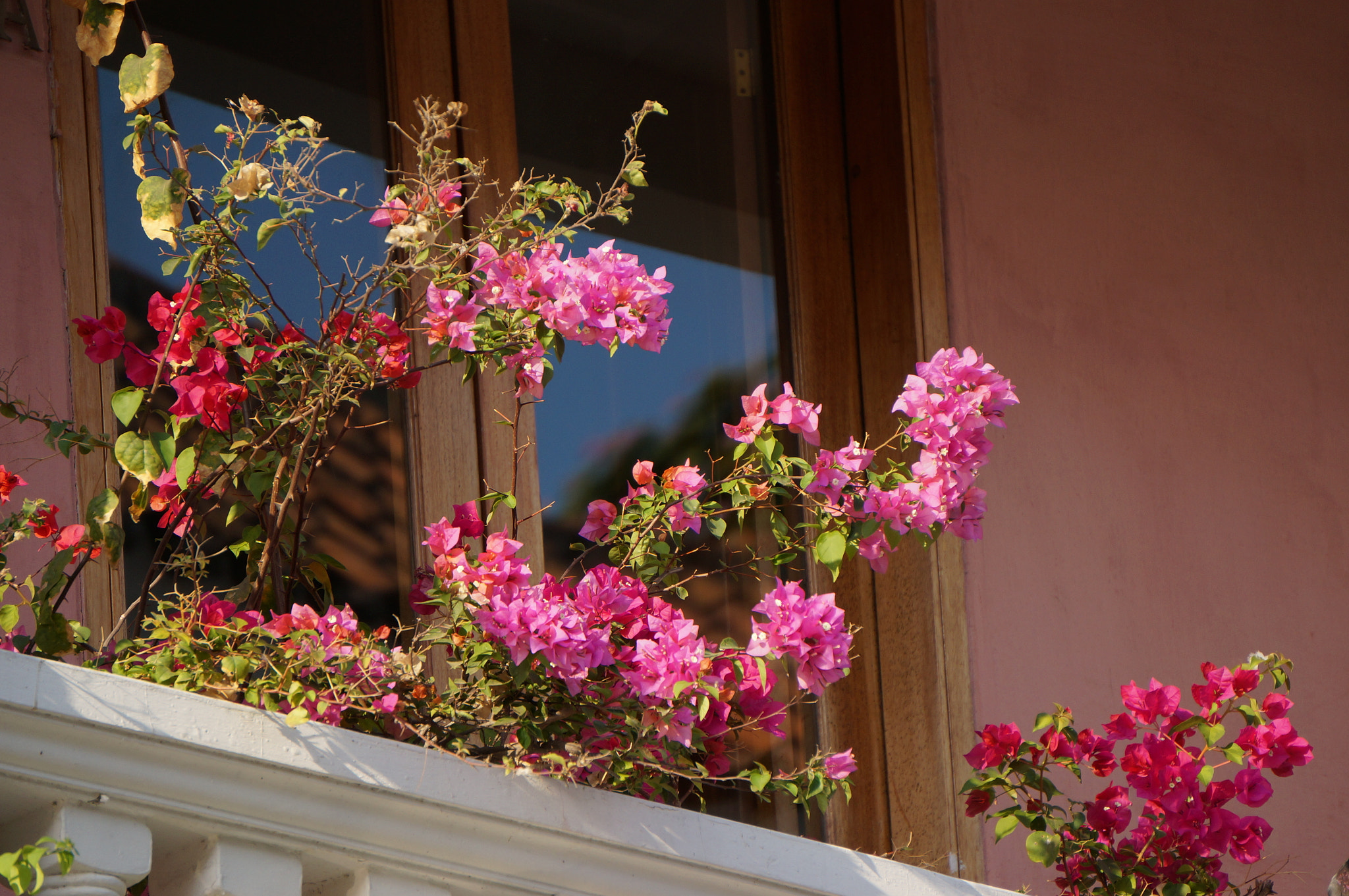 Sony E 55-210mm F4.5-6.3 OSS sample photo. Balcony photography
