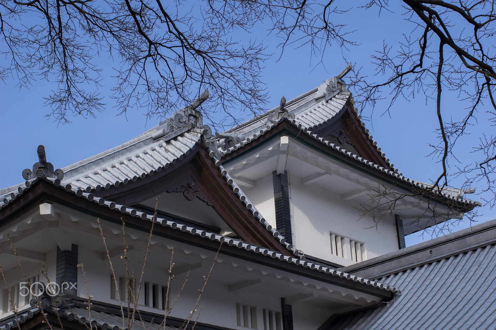 Pentax smc FA 43mm F1.9 Limited sample photo. Japanese castle photography