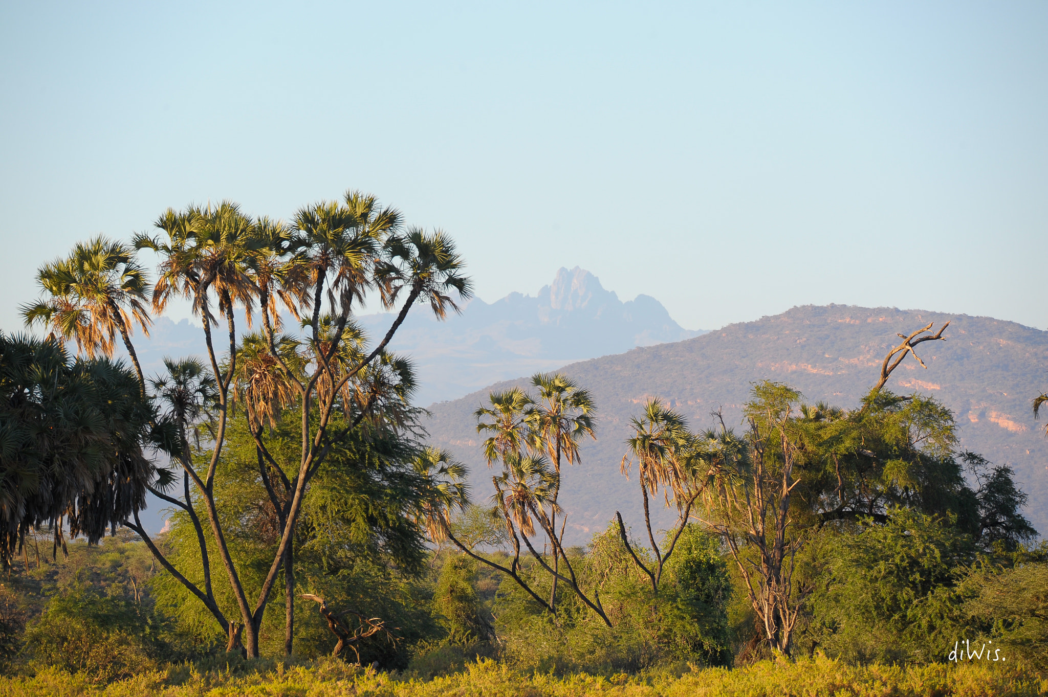 Sigma 150-600mm F5-6.3 DG OS HSM | S sample photo. Mount kenya photography
