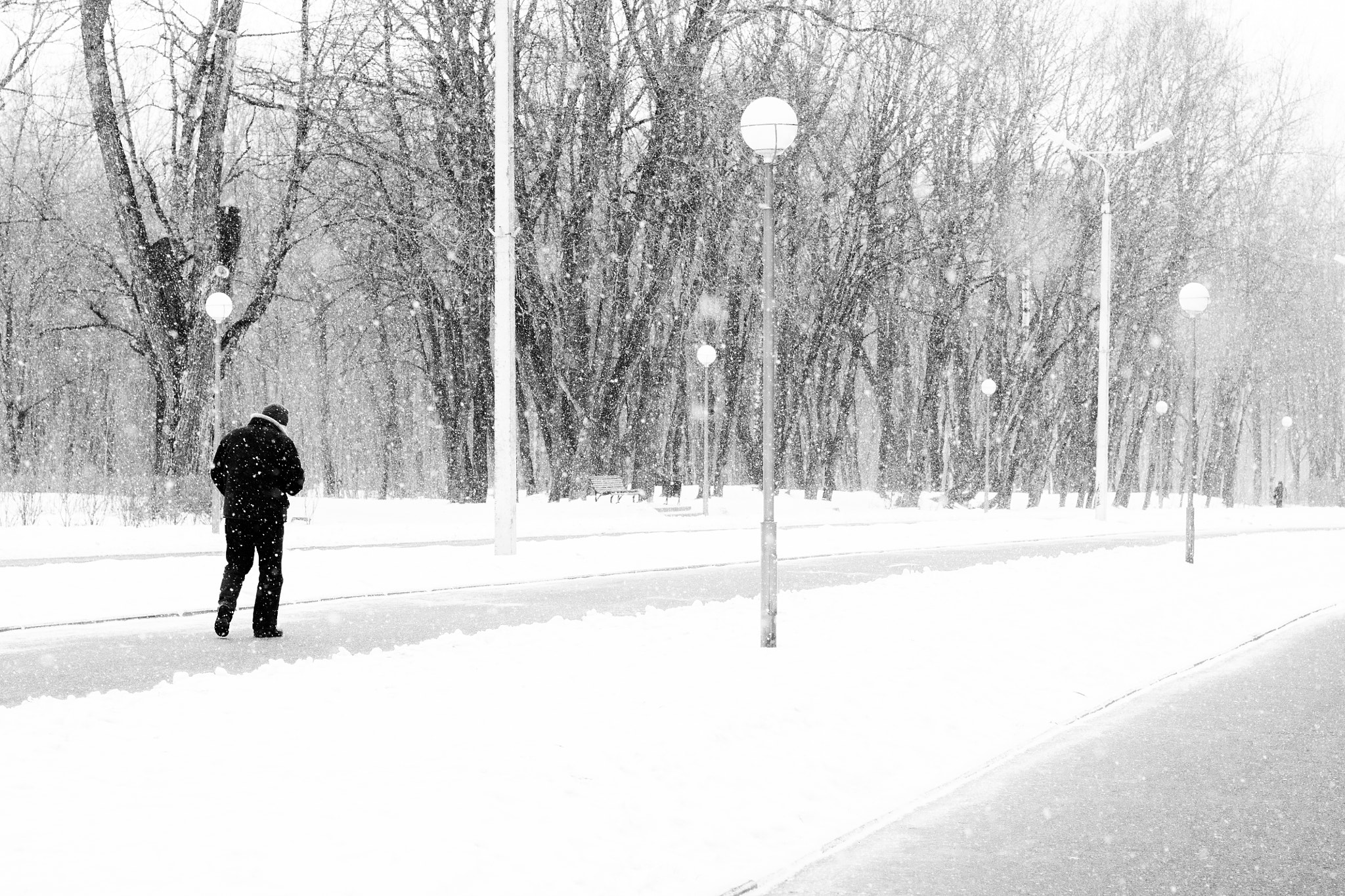 Sony Alpha DSLR-A500 + Sony 50mm F1.4 sample photo. Snowy day photography