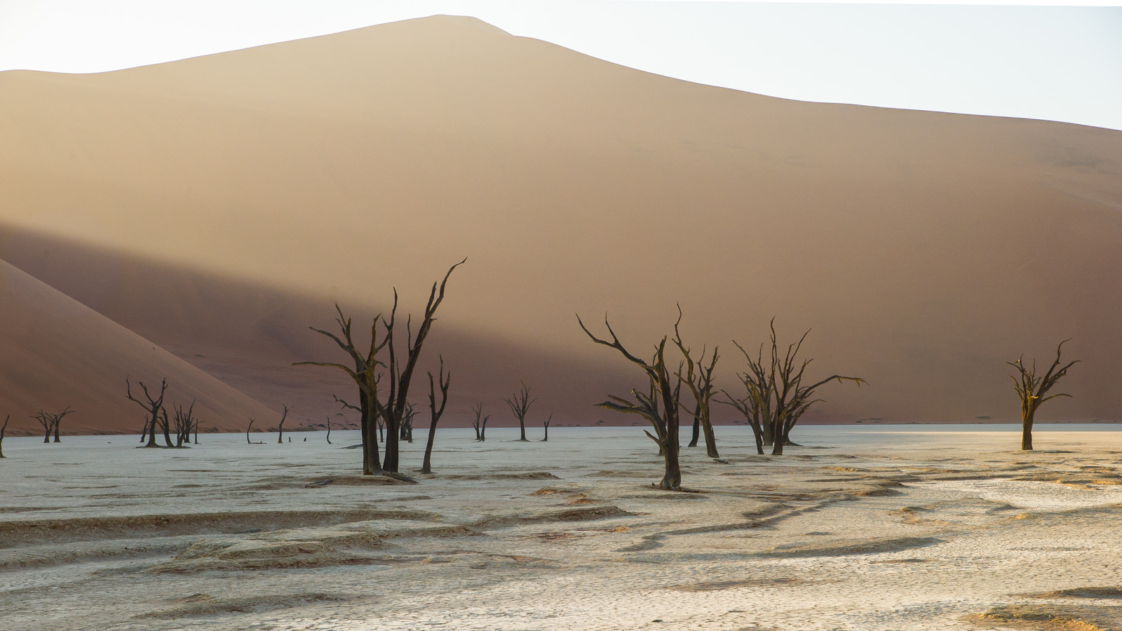 Nikon D3S sample photo. Dune photography