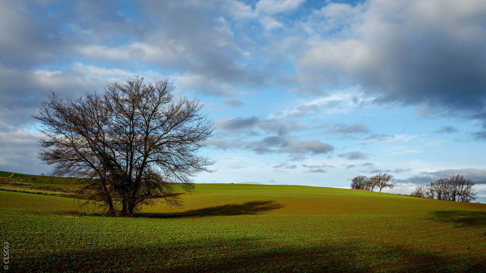 Nikon D5100 + Sigma 18-35mm F1.8 DC HSM Art sample photo. Growing photography