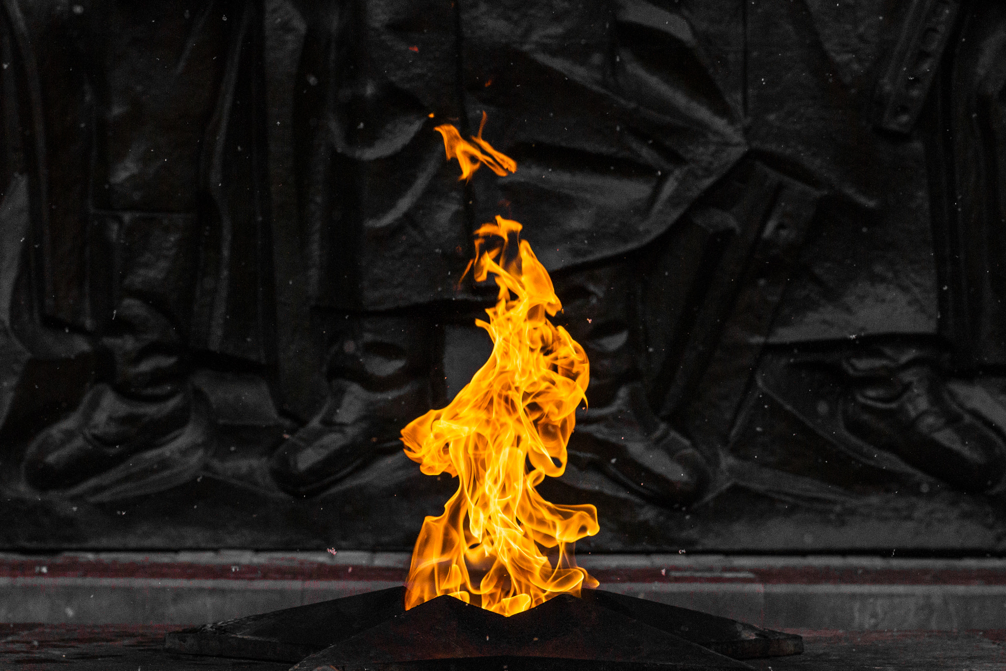 Sony 50mm F1.4 sample photo. Everlasting flame photography