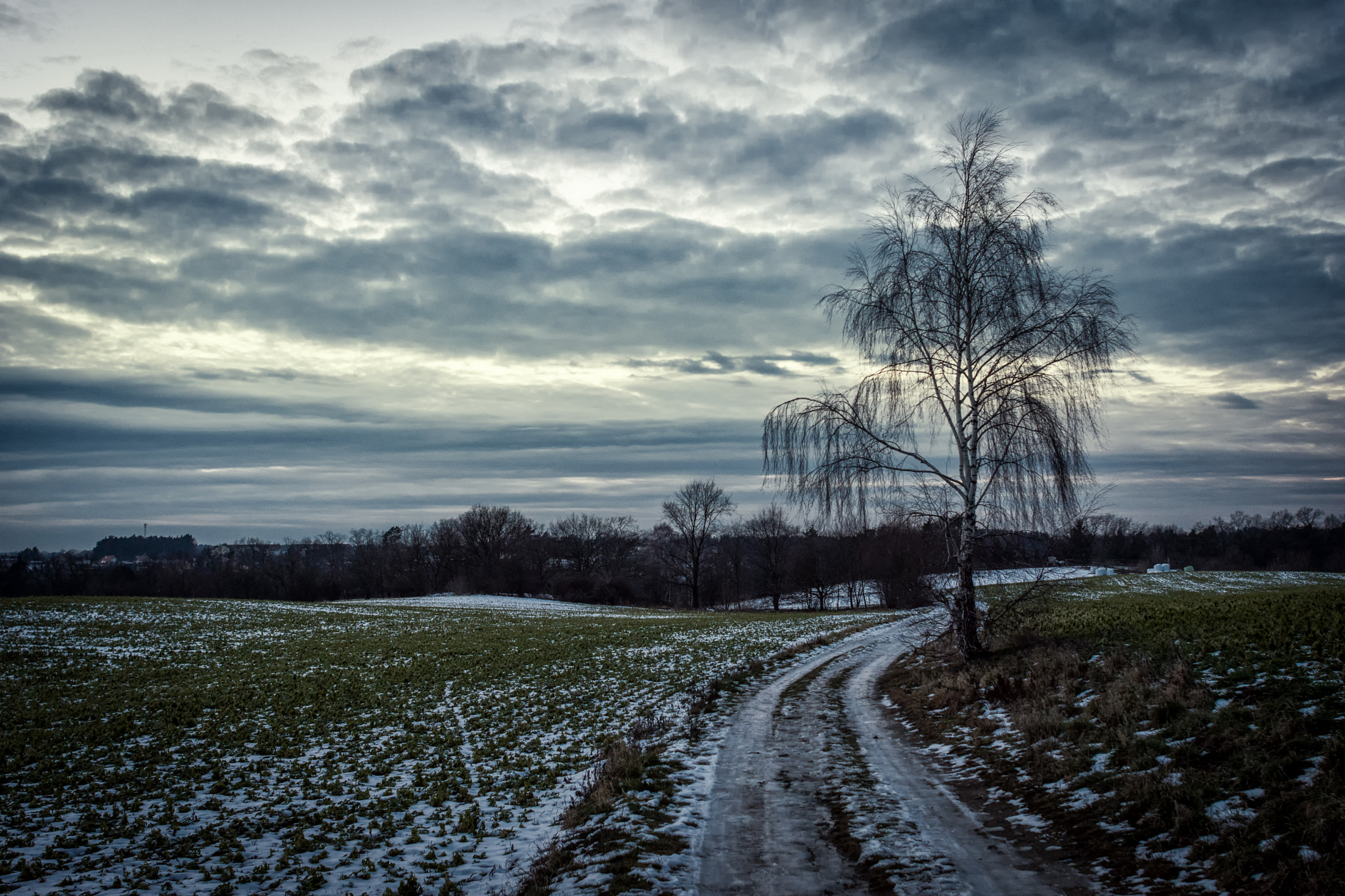 Nikon D7200 + Nikon AF Nikkor 24mm F2.8D sample photo. Walk into the sunset photography