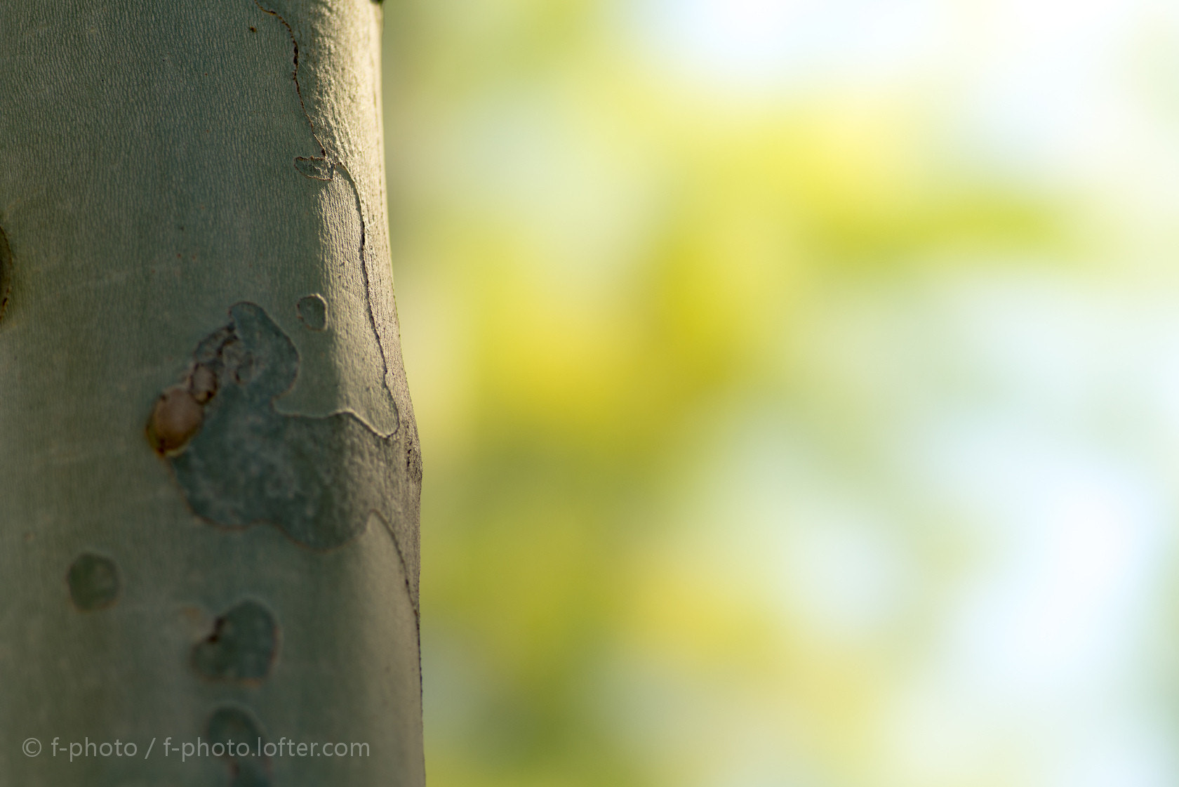Sony 135mm F2.8 [T4.5] STF sample photo.  early spring by 135stf!  photography