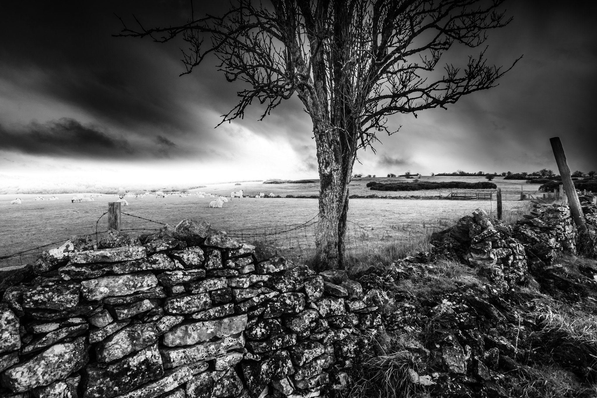 Minolta AF 28-80mm F3.5-5.6 II sample photo. Hill farm, cotswolds, gloucestershire photography