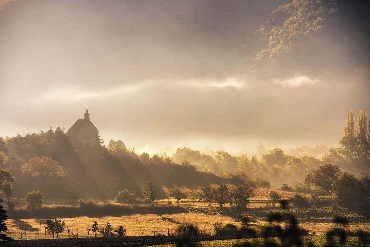 70-200mm F2.8 sample photo. Philomene au matin photography