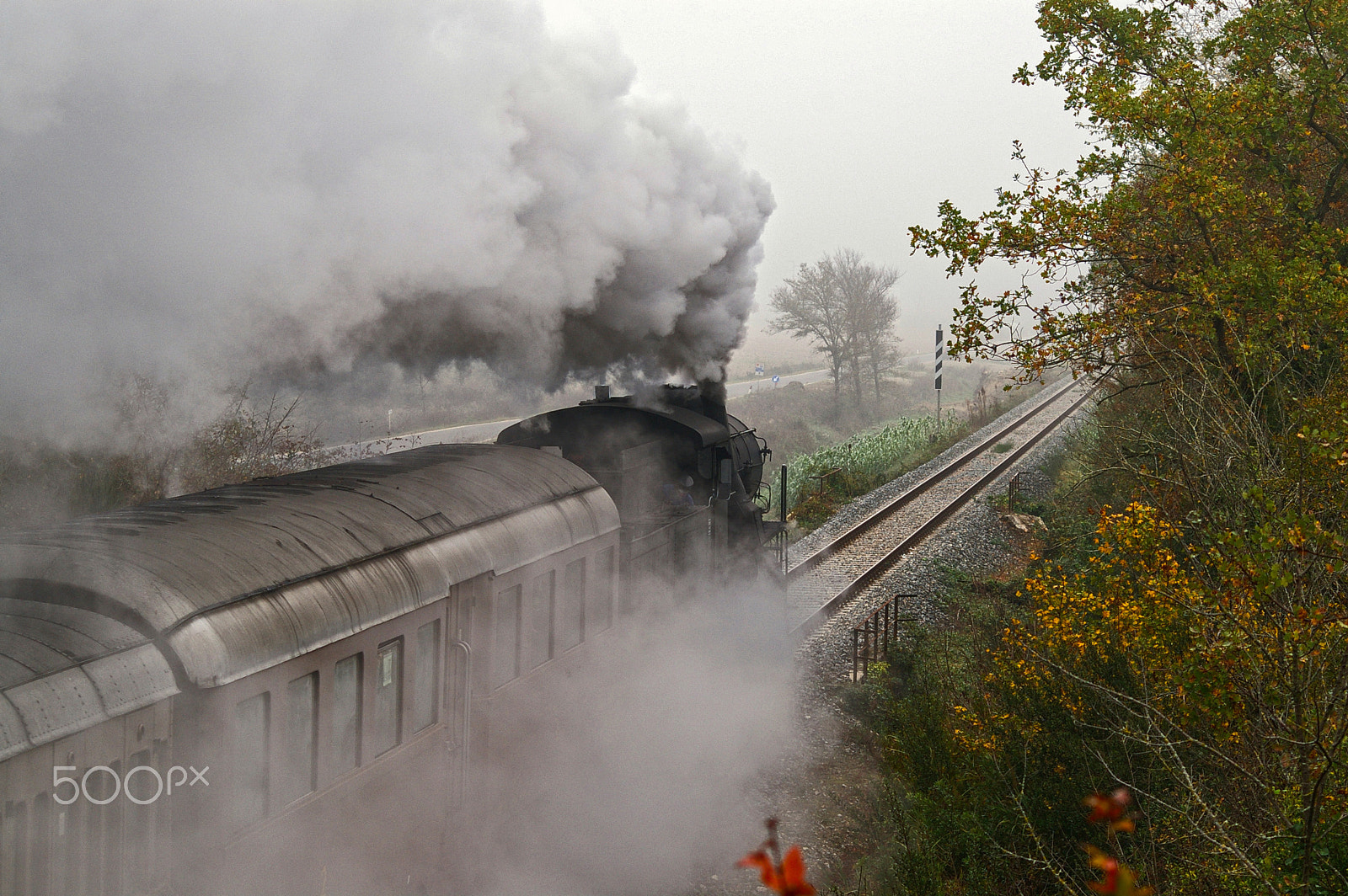 Pentax K100D + Sigma sample photo. Treno natura photography