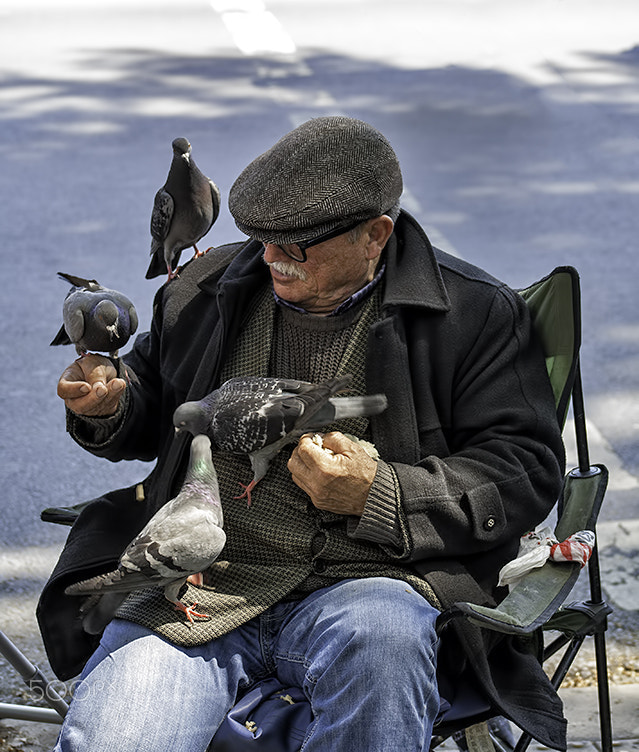 Canon EOS 5D + Canon EF 75-300mm f/4-5.6 USM sample photo. Feeding the pigeons photography