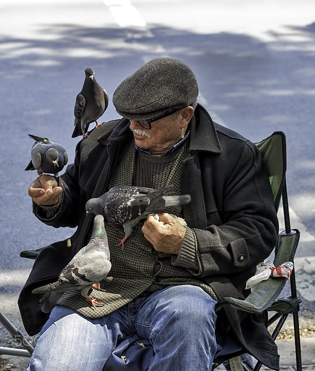 Canon EF 75-300mm f/4-5.6 USM sample photo. Feeding the pigeons photography