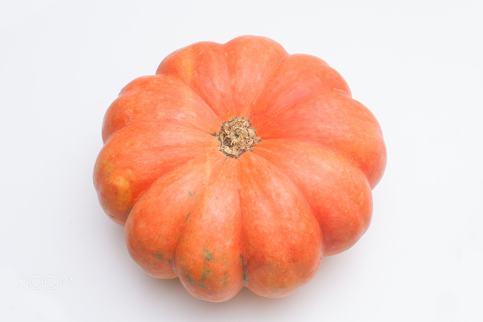 Canon EOS 40D + Sigma 50mm f/2.8 EX sample photo. Punpkin from farm in white background photography