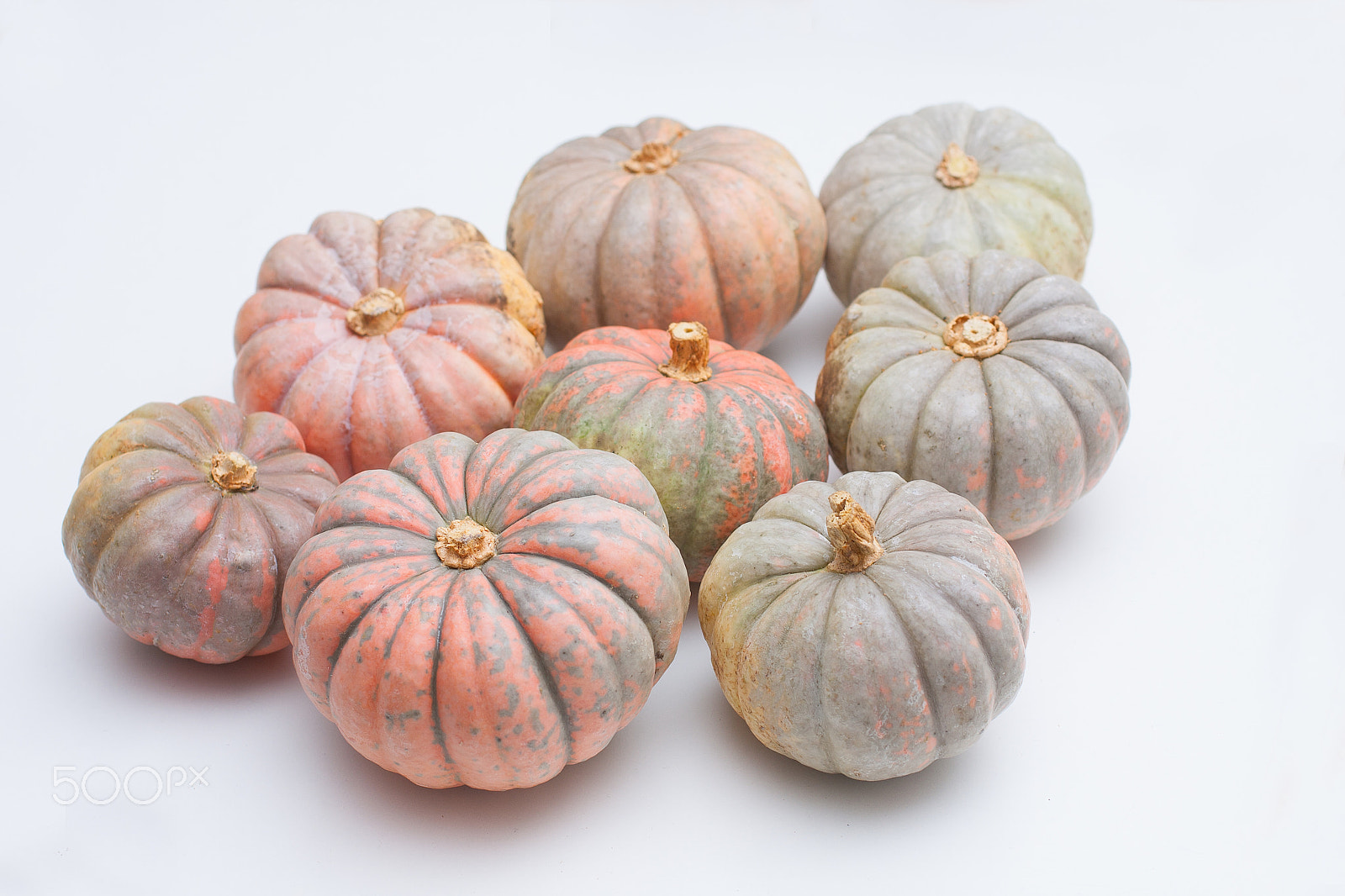 Canon EOS 40D + Sigma 50mm f/2.8 EX sample photo. Punpkin from farm in white background photography