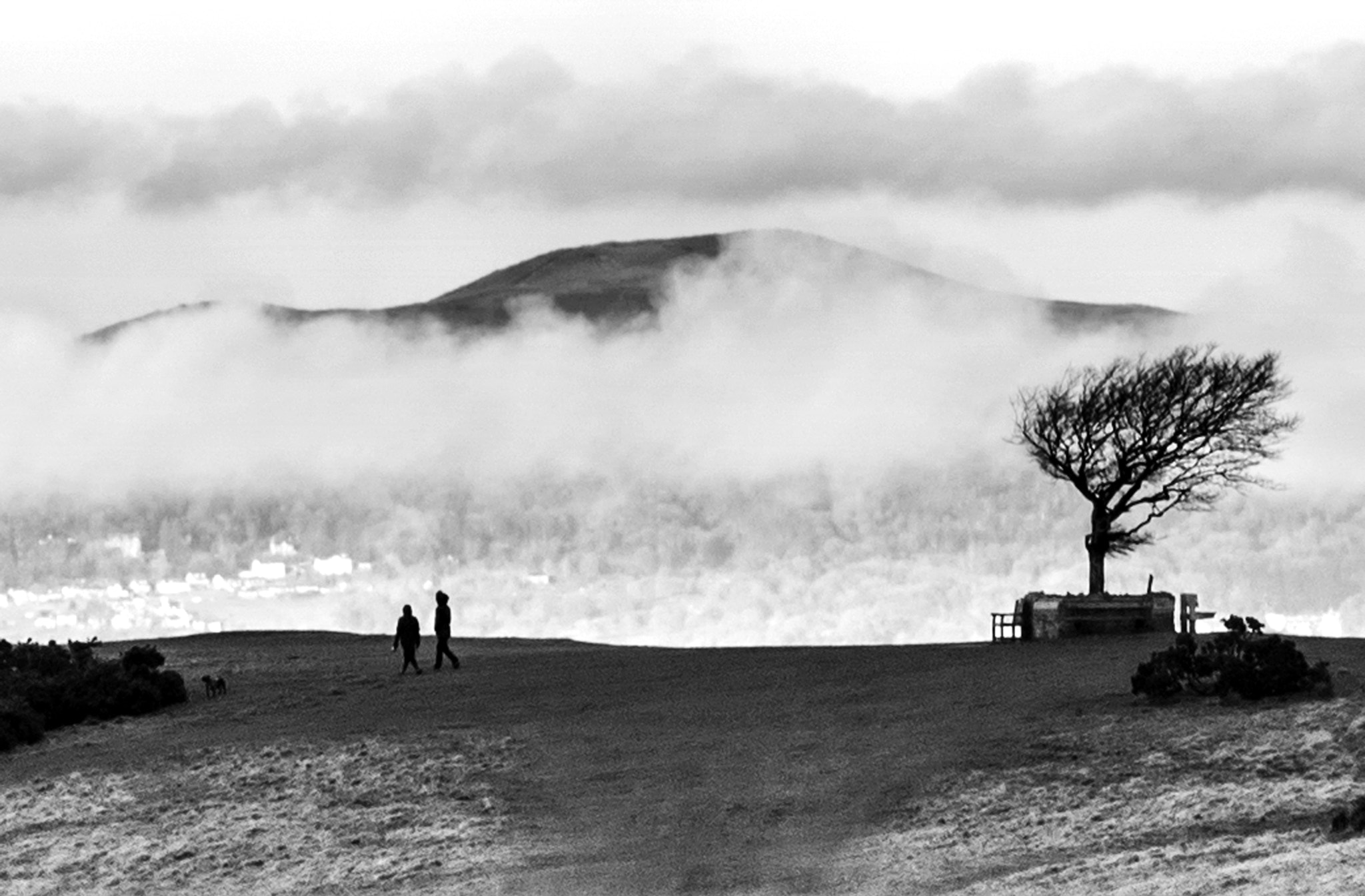 Minolta AF 200mm F2.8 G APO sample photo. The edge, cotswolds, gloucestershire photography