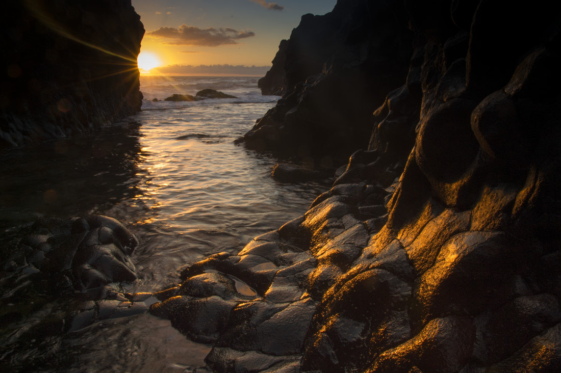 Nikon Df sample photo. Charco los sargos photography