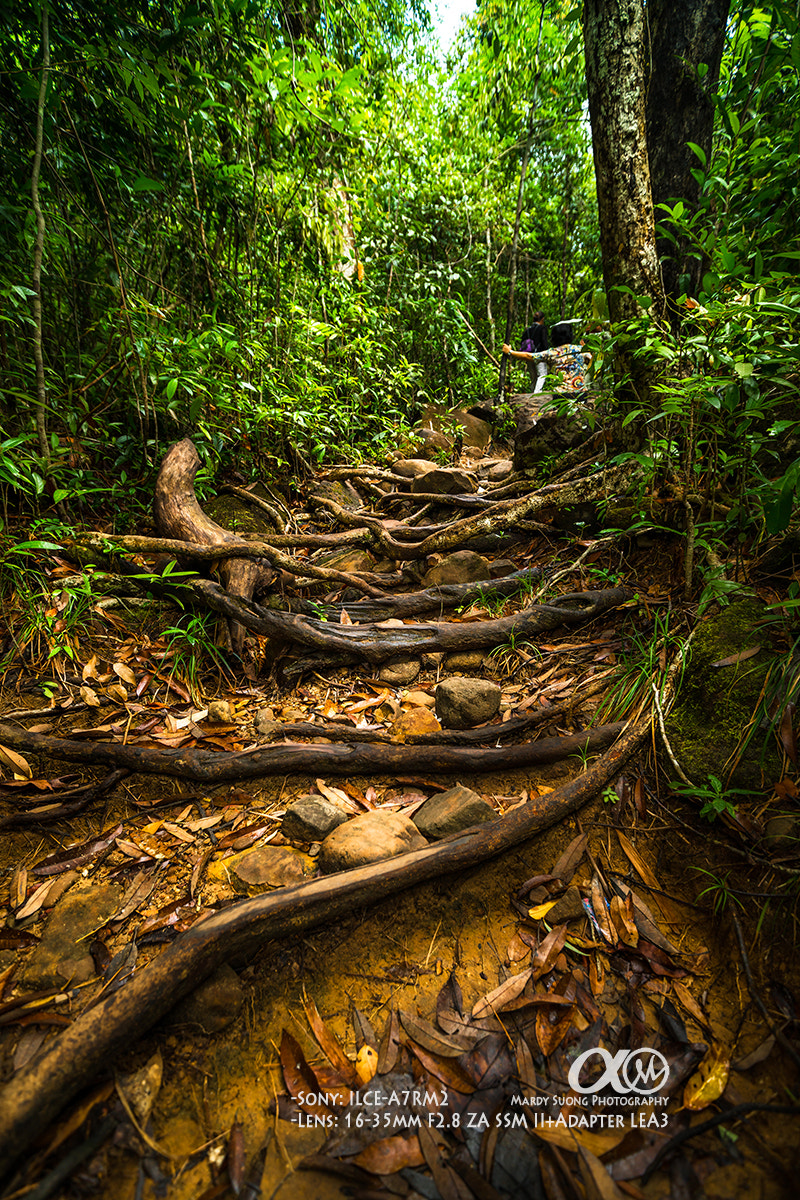 Sony Vario-Sonnar T* 16-35mm F2.8 ZA SSM II sample photo. Step ! (ខេត្តកំពត) photography