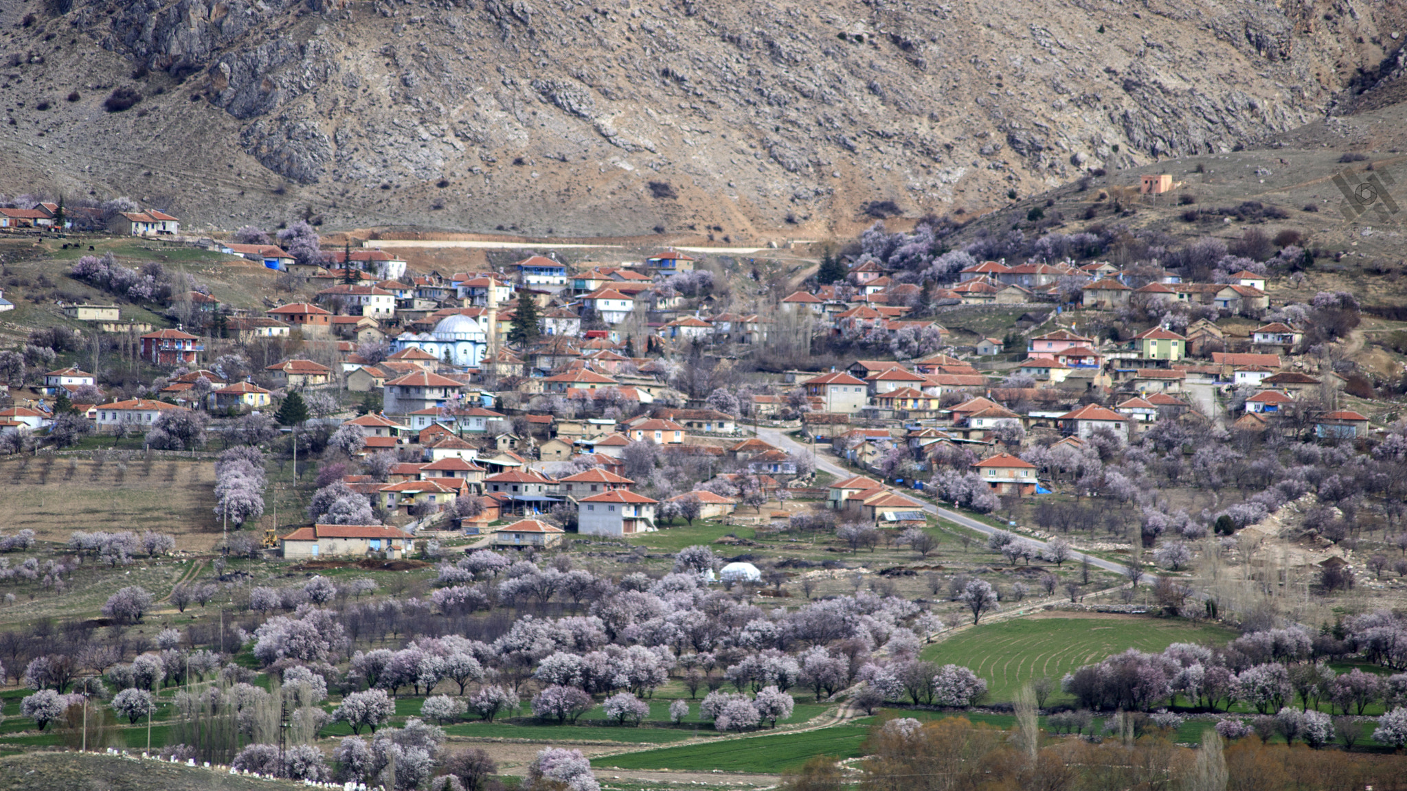 Canon EOS 760D (EOS Rebel T6s / EOS 8000D) sample photo. A village in spring photography