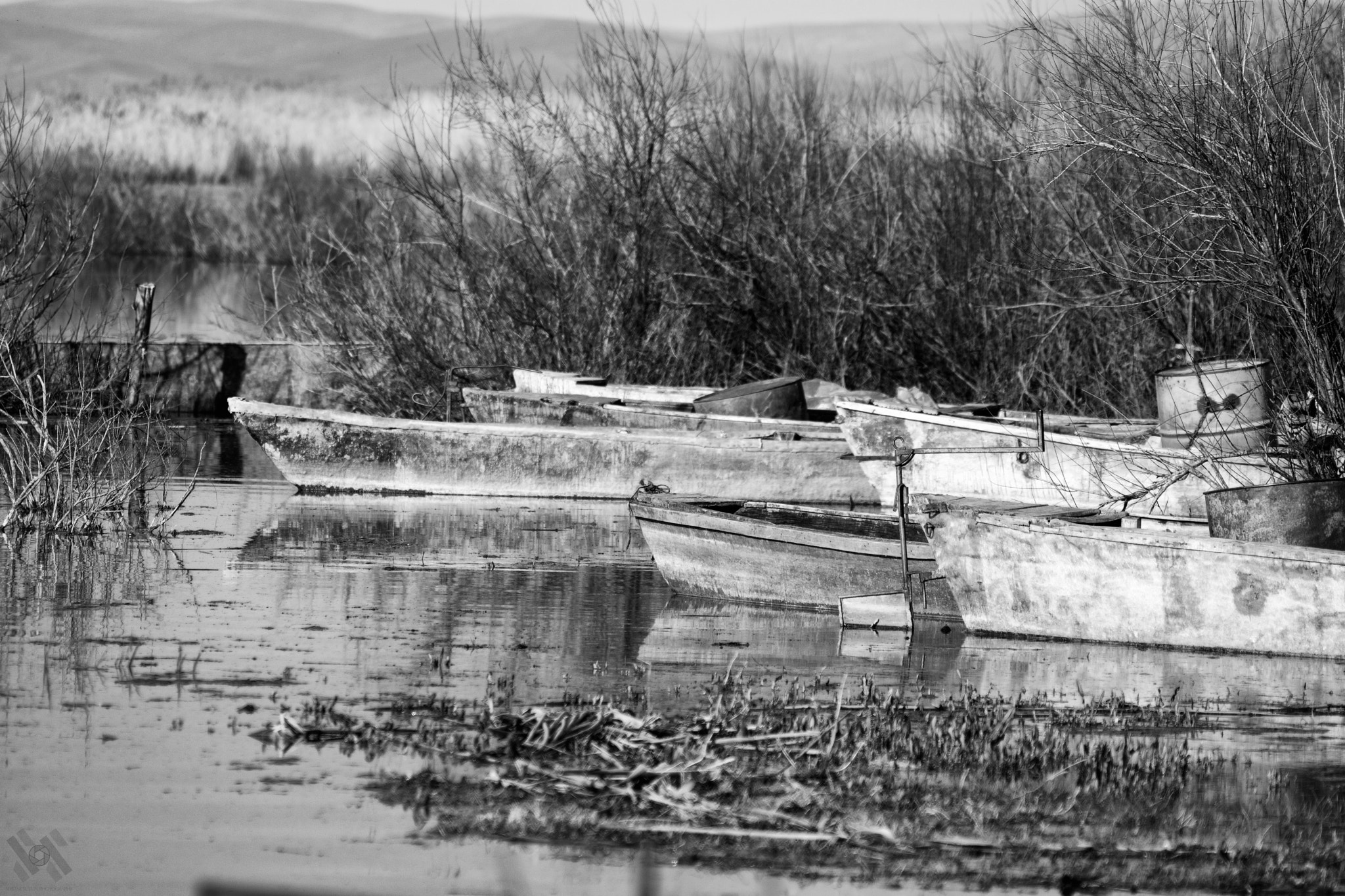 Canon EOS 760D (EOS Rebel T6s / EOS 8000D) sample photo. Eber lake photography