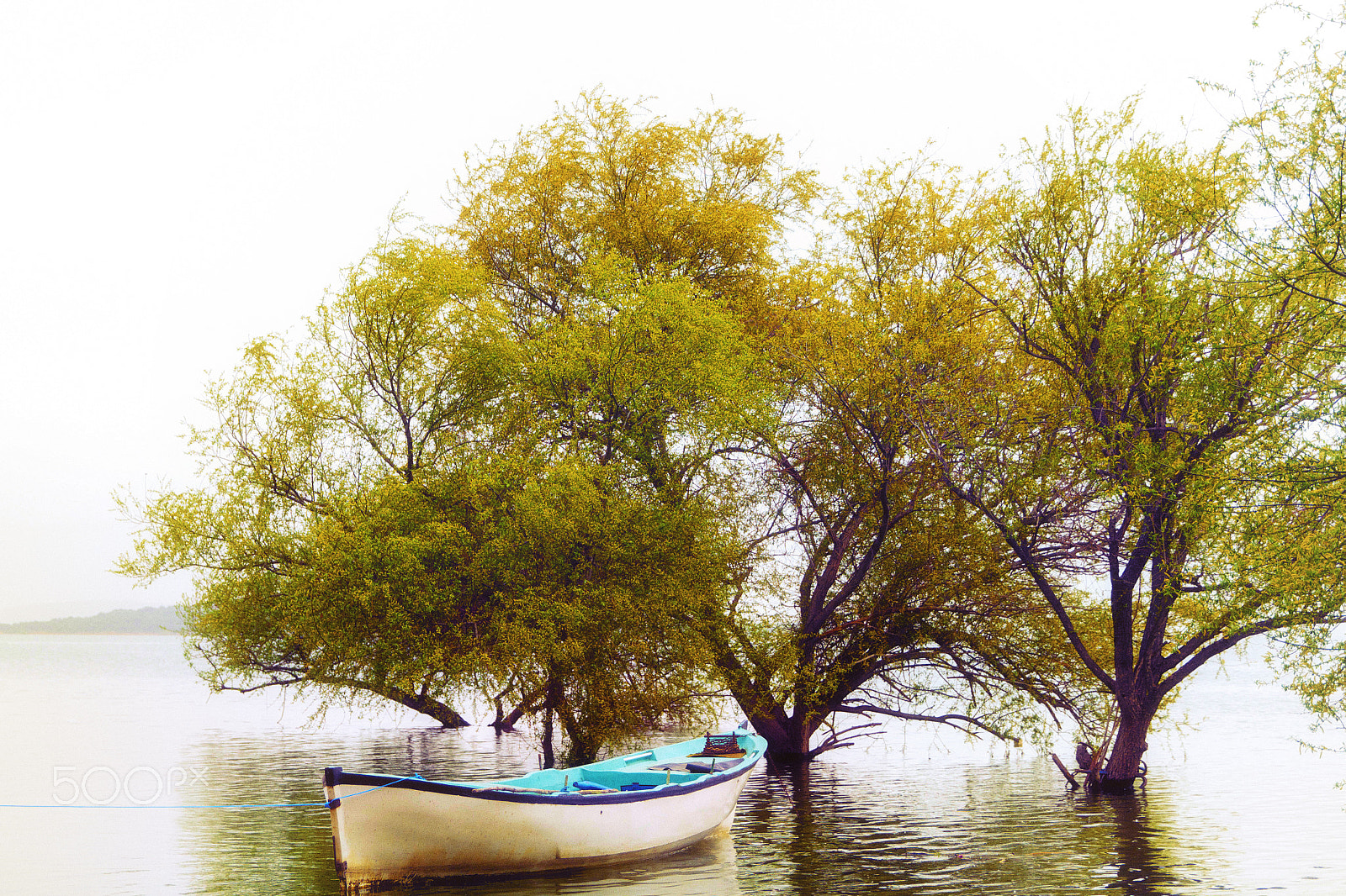 Canon EF 24-70mm F2.8L II USM sample photo. Gölyazı photography