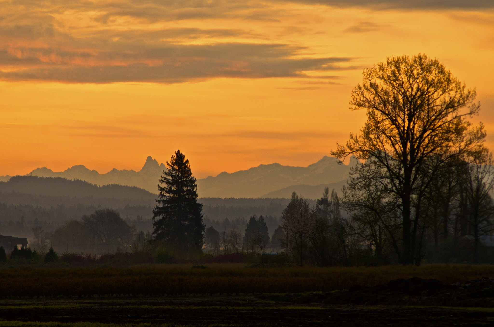 smc PENTAX-FA J 75-300mm F4.5-5.8 AL sample photo. Meadows morning photography