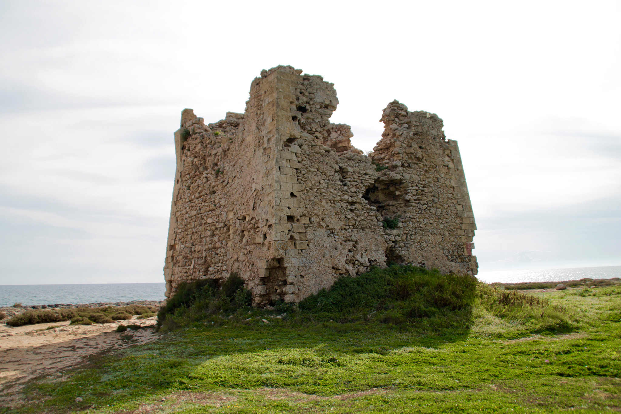 Canon 18-200mm sample photo