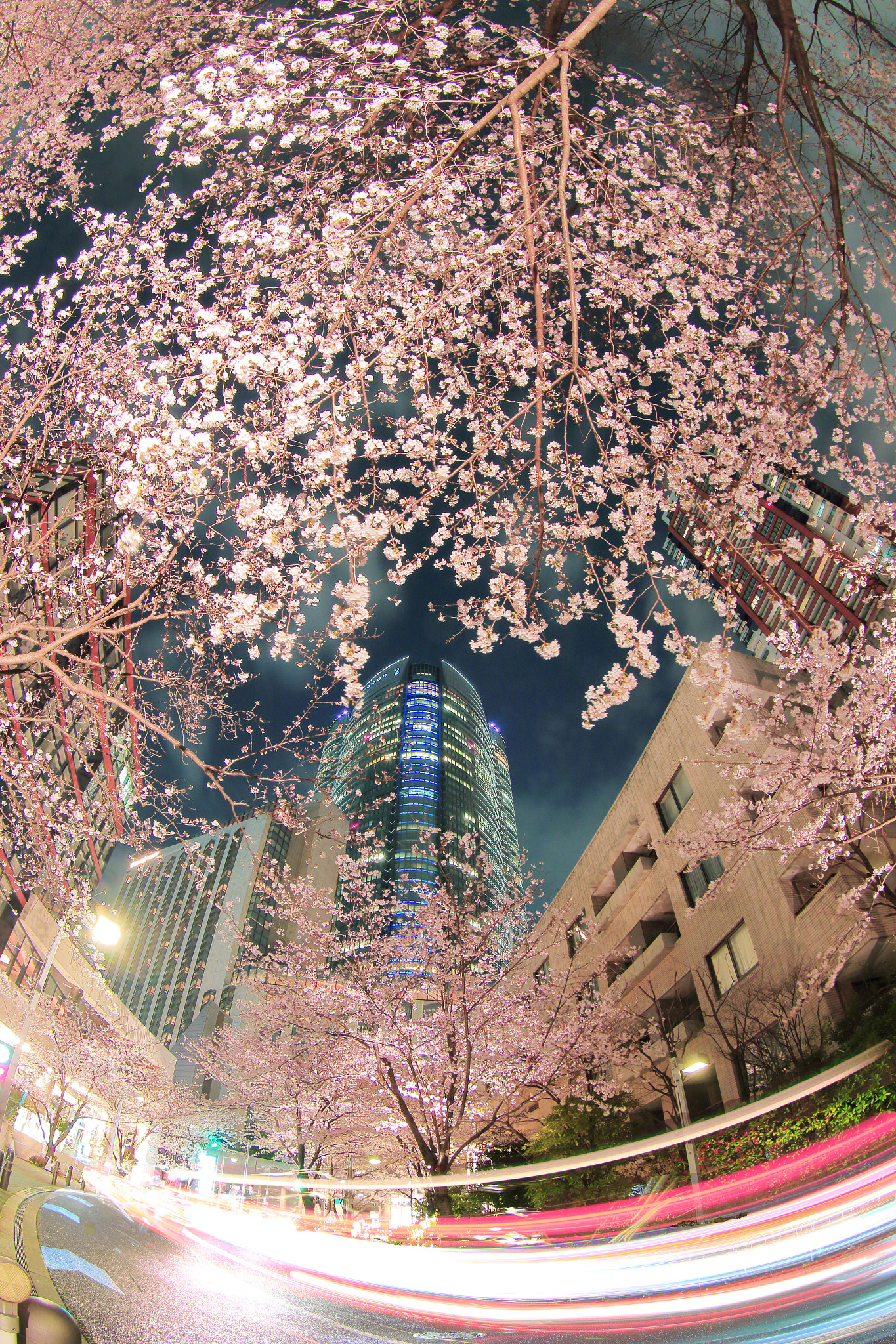 Canon EF 8-15mm F4L Fisheye USM sample photo. Roppongihills and cherry blossoms photography