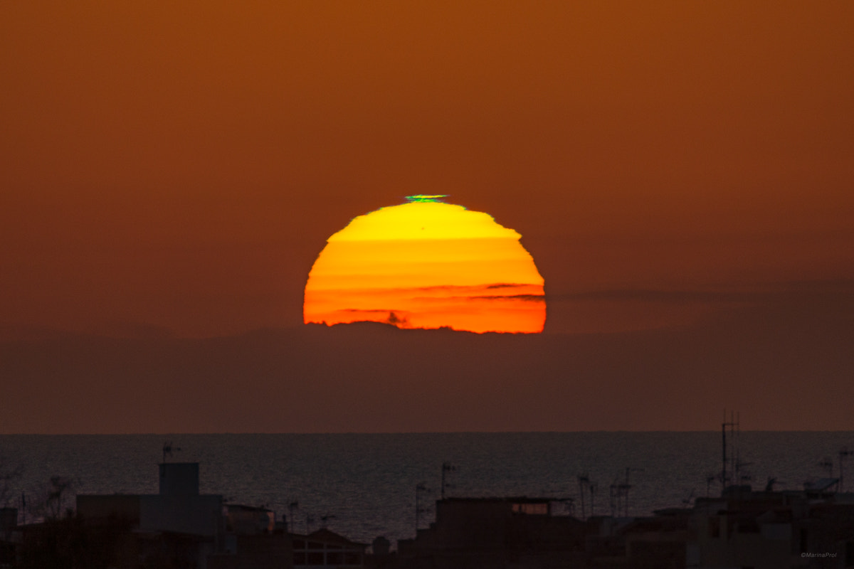 Sigma 150-600mm F5-6.3 DG OS HSM | S sample photo. Star photography