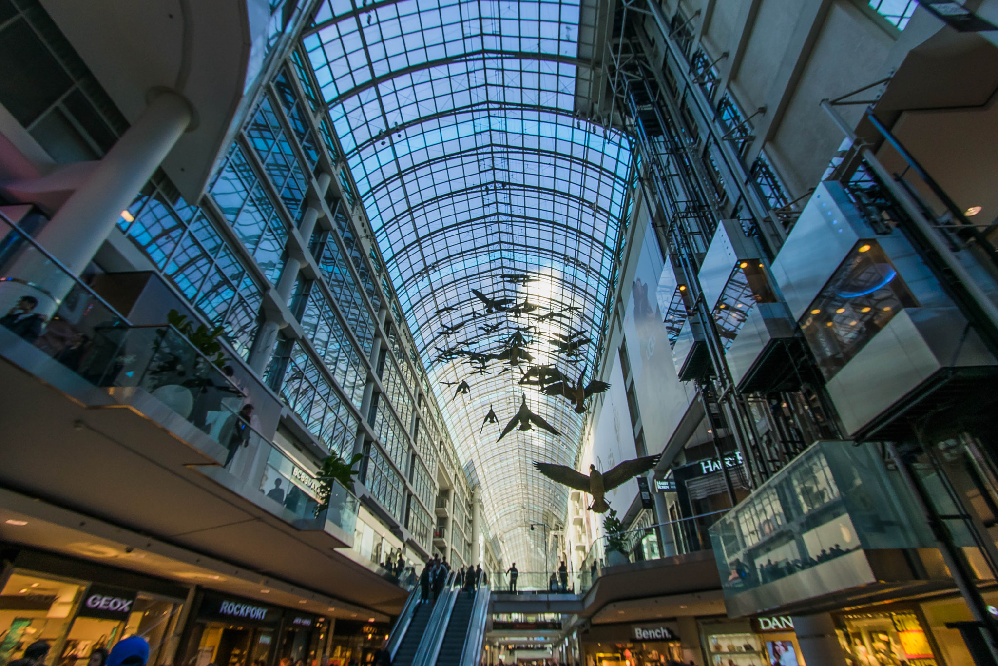 Canon EF-S 10-22mm F3.5-4.5 USM sample photo. Eatons centre photography