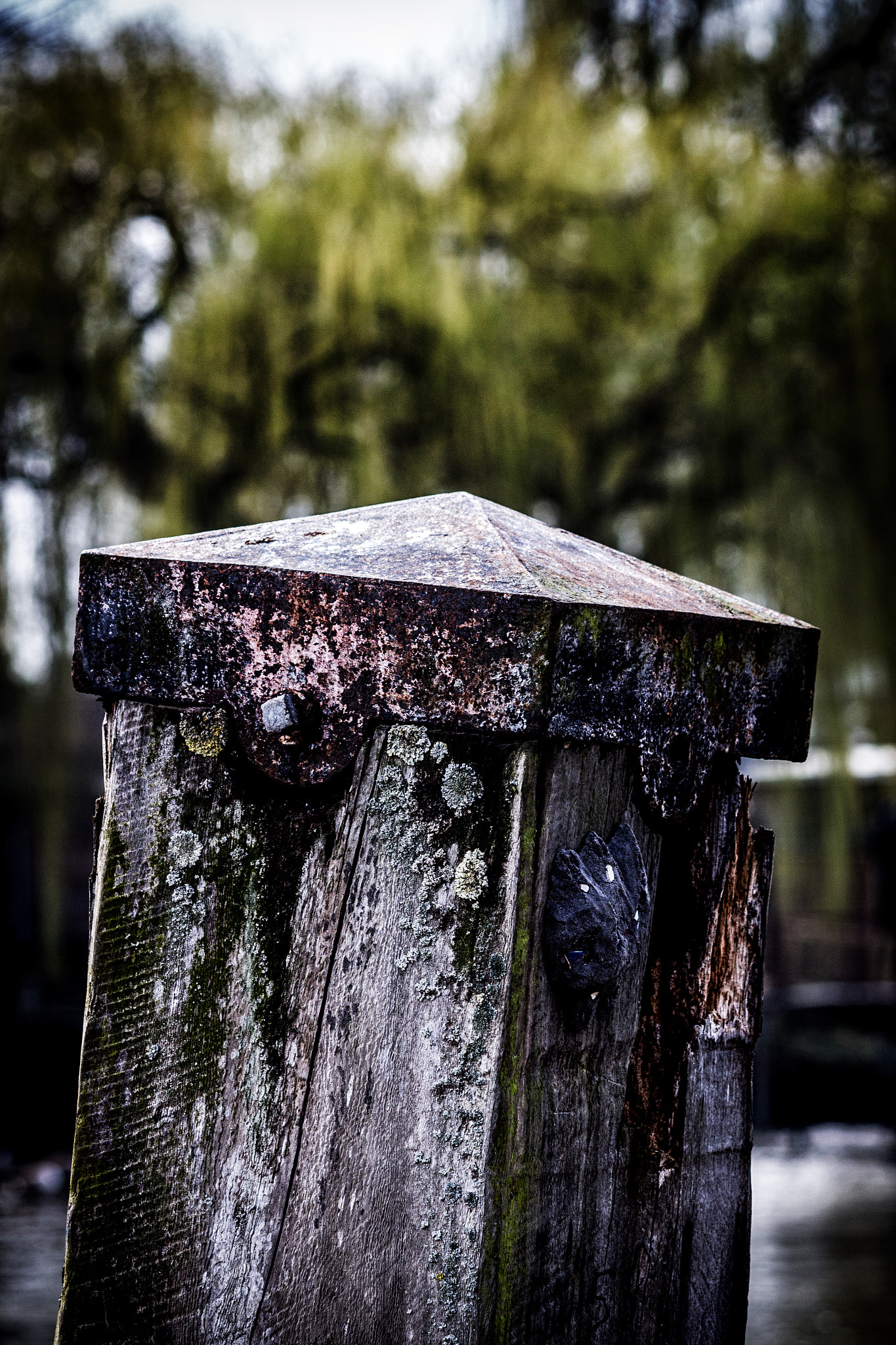 Canon EF-S 55-250mm F4-5.6 IS sample photo. Worn photography