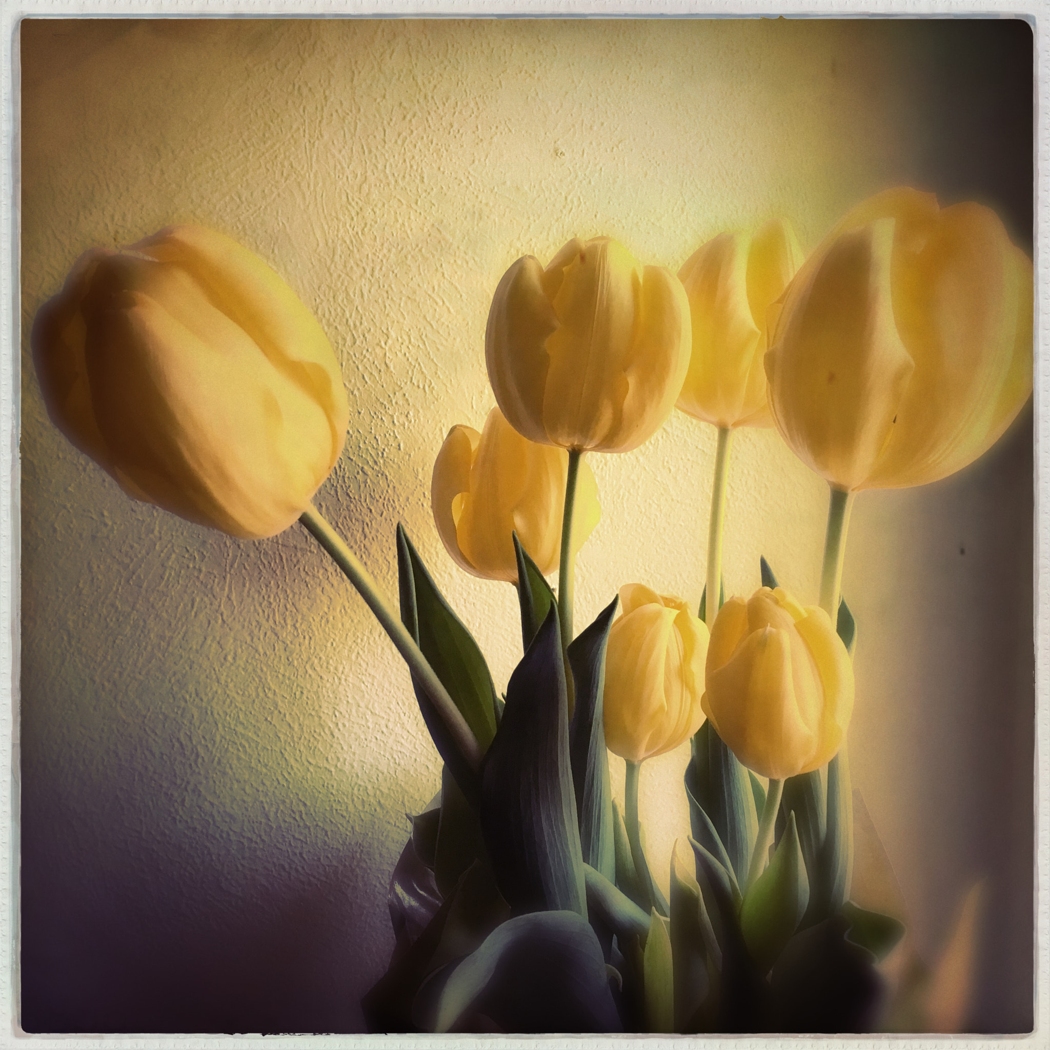 Hipstamatic 312 sample photo
