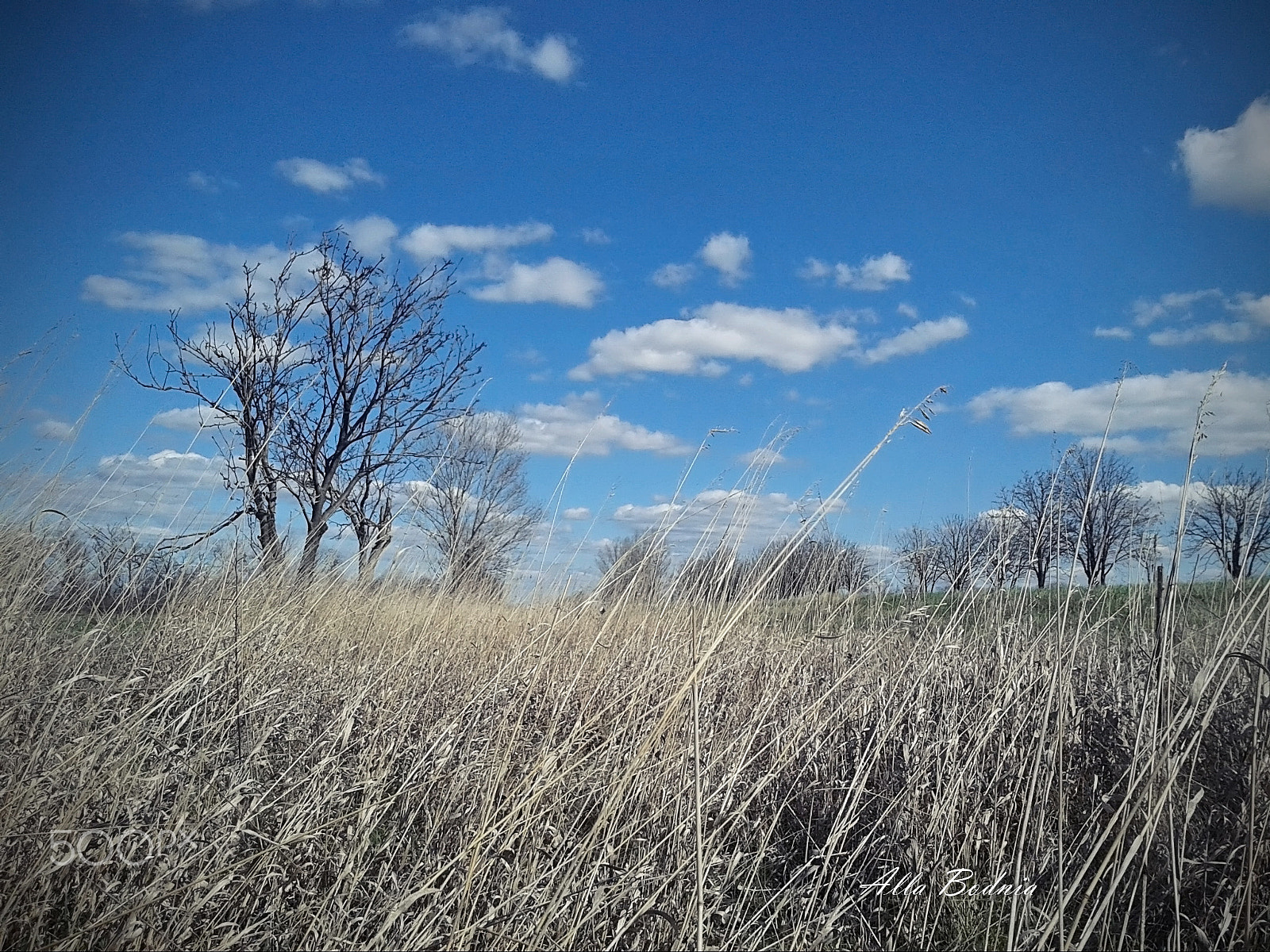 Samsung GT-S5610 sample photo. Silver spring photography