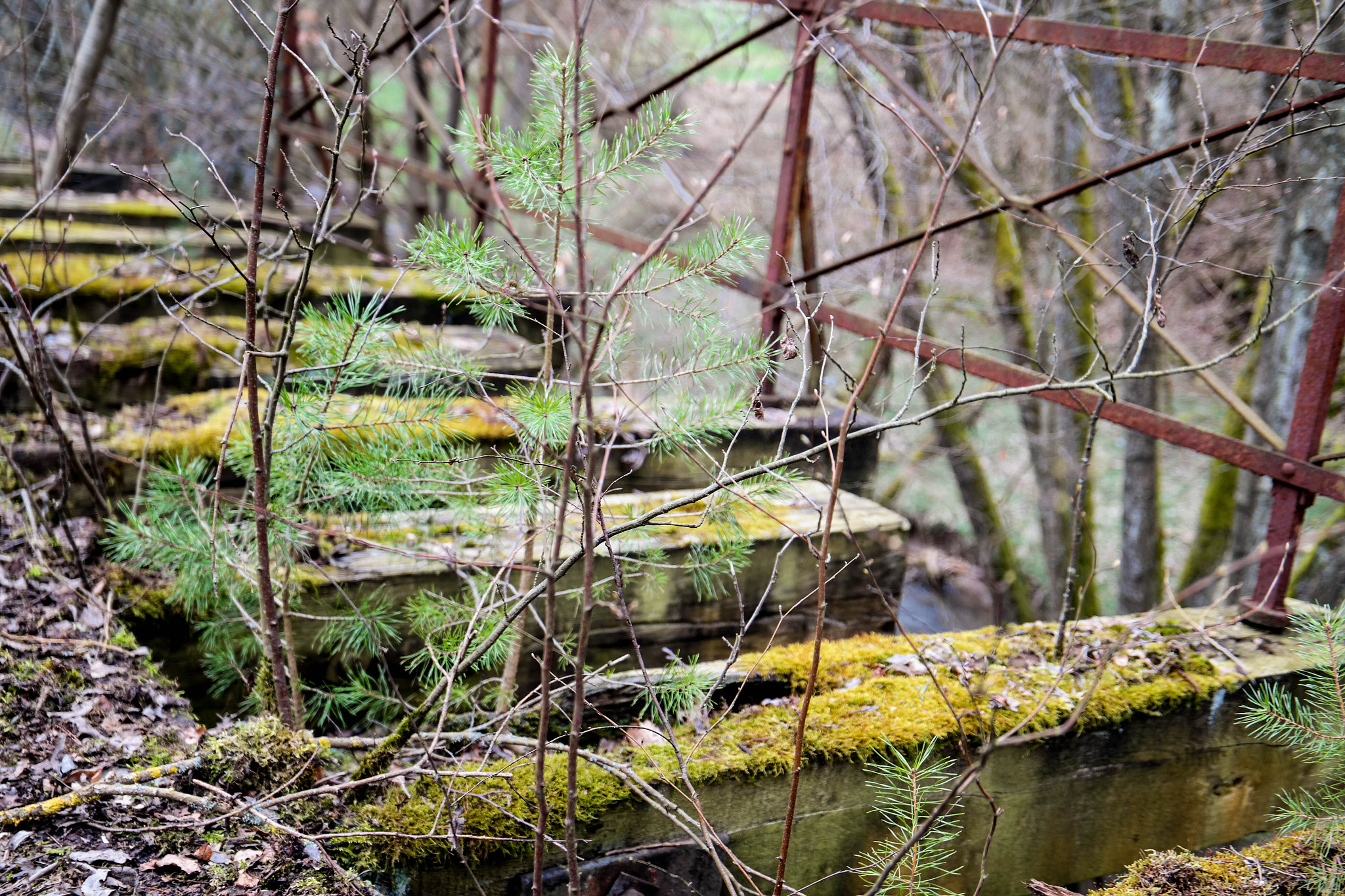 Saumsun NX 16-50mm F2-2.8 S ED OIS sample photo. Old rail road photography