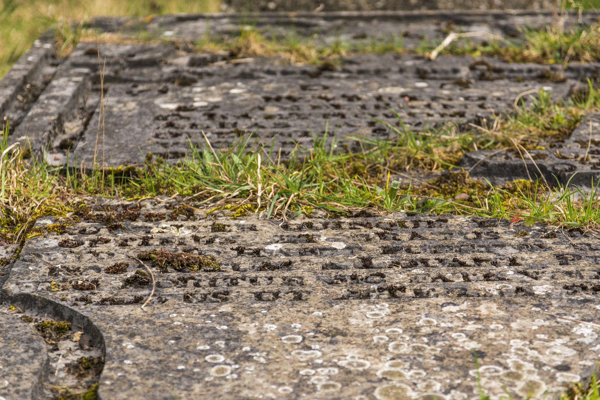 Sigma 17-70mm F2.8-4 DC Macro OS HSM | C sample photo. Abbaye d'aulne pierre tombale photography