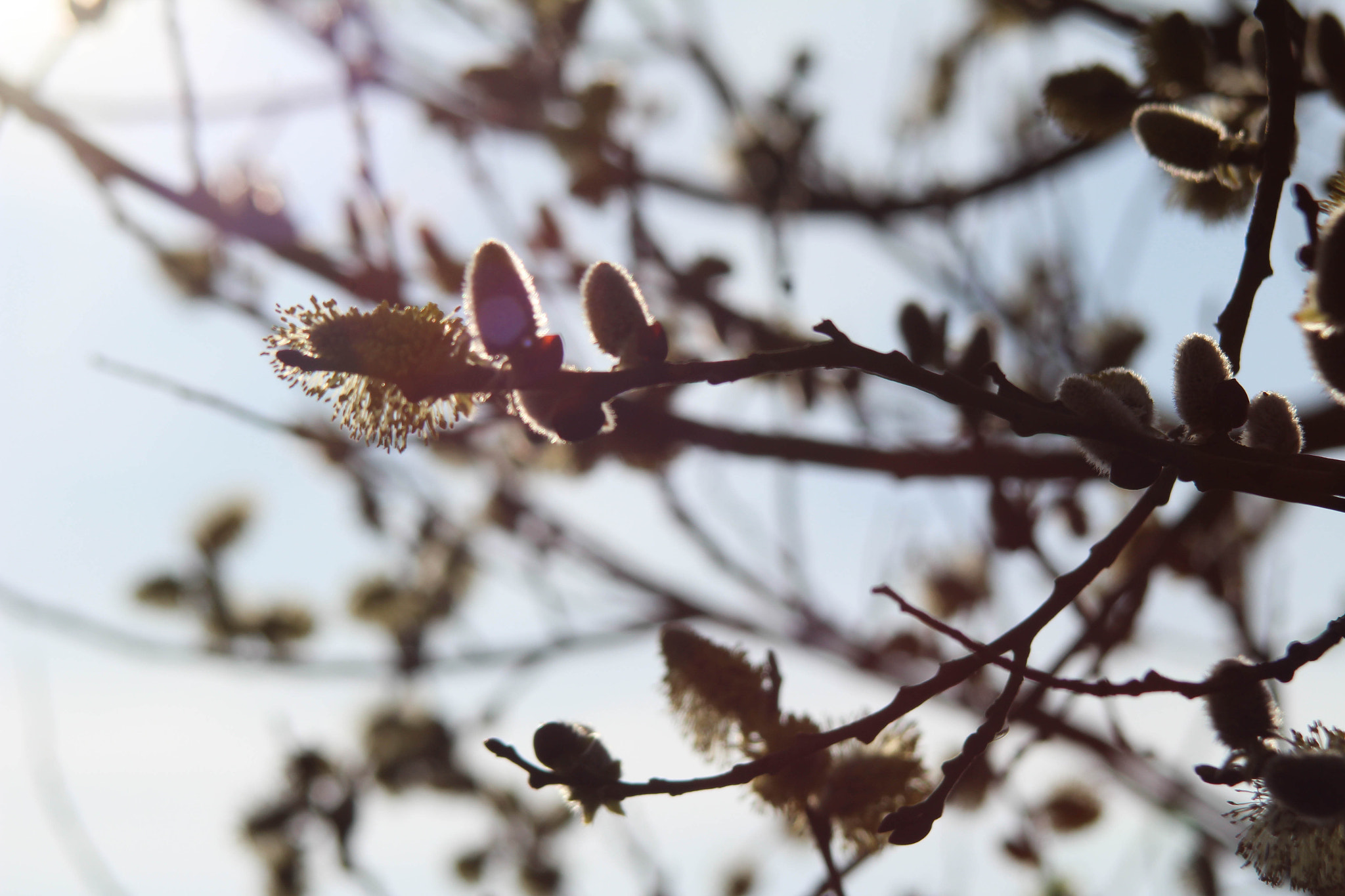 Canon EF 35-135mm f/4-5.6 USM sample photo