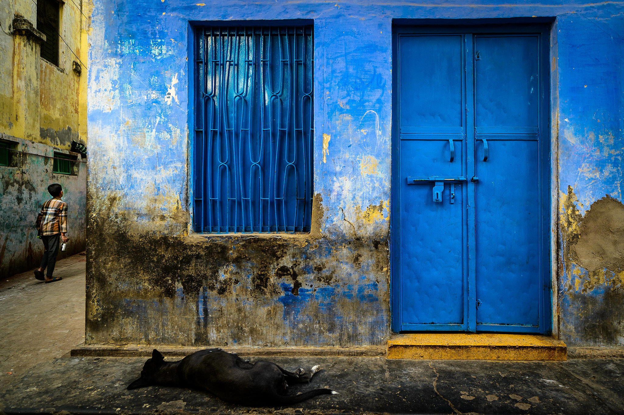 Nikon Df sample photo. Blue photography