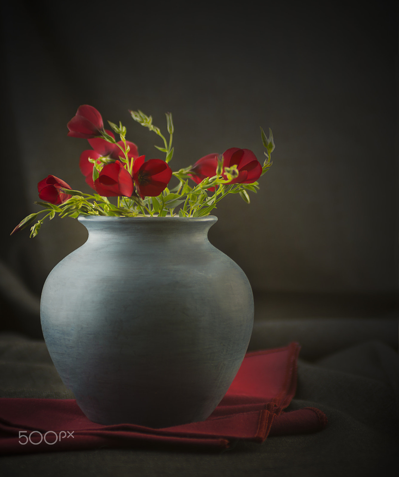 Nikon D7100 + Sigma 24-70mm F2.8 EX DG Macro sample photo. Still life vase photography