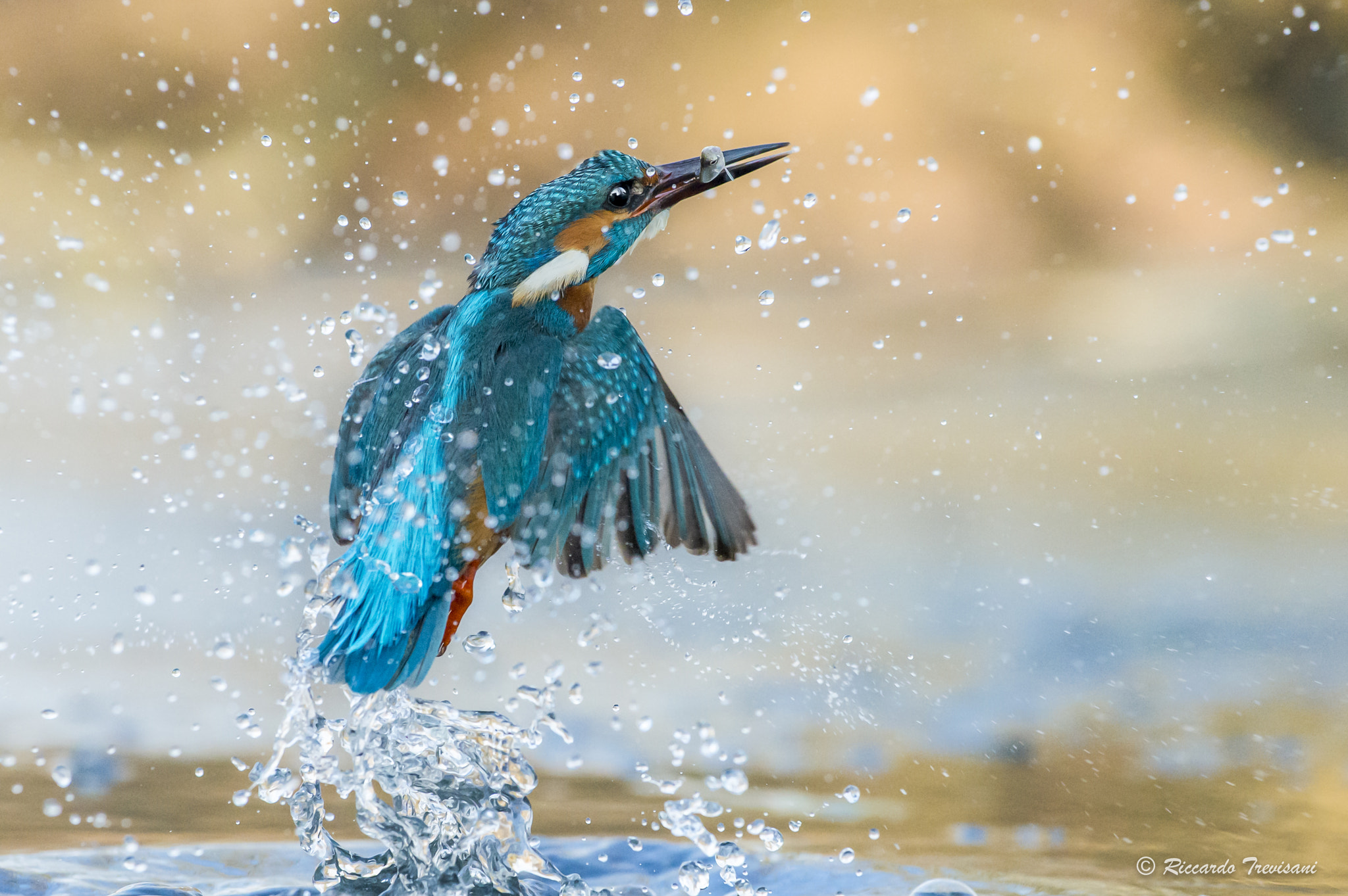 Nikon AF-S Nikkor 70-200mm F4G ED VR sample photo. Fishing in the sunset photography