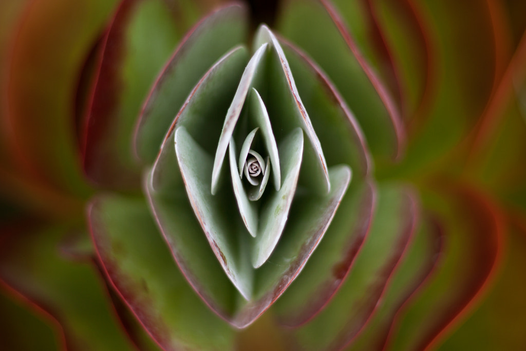 kat-rollins-blog-composition-ii