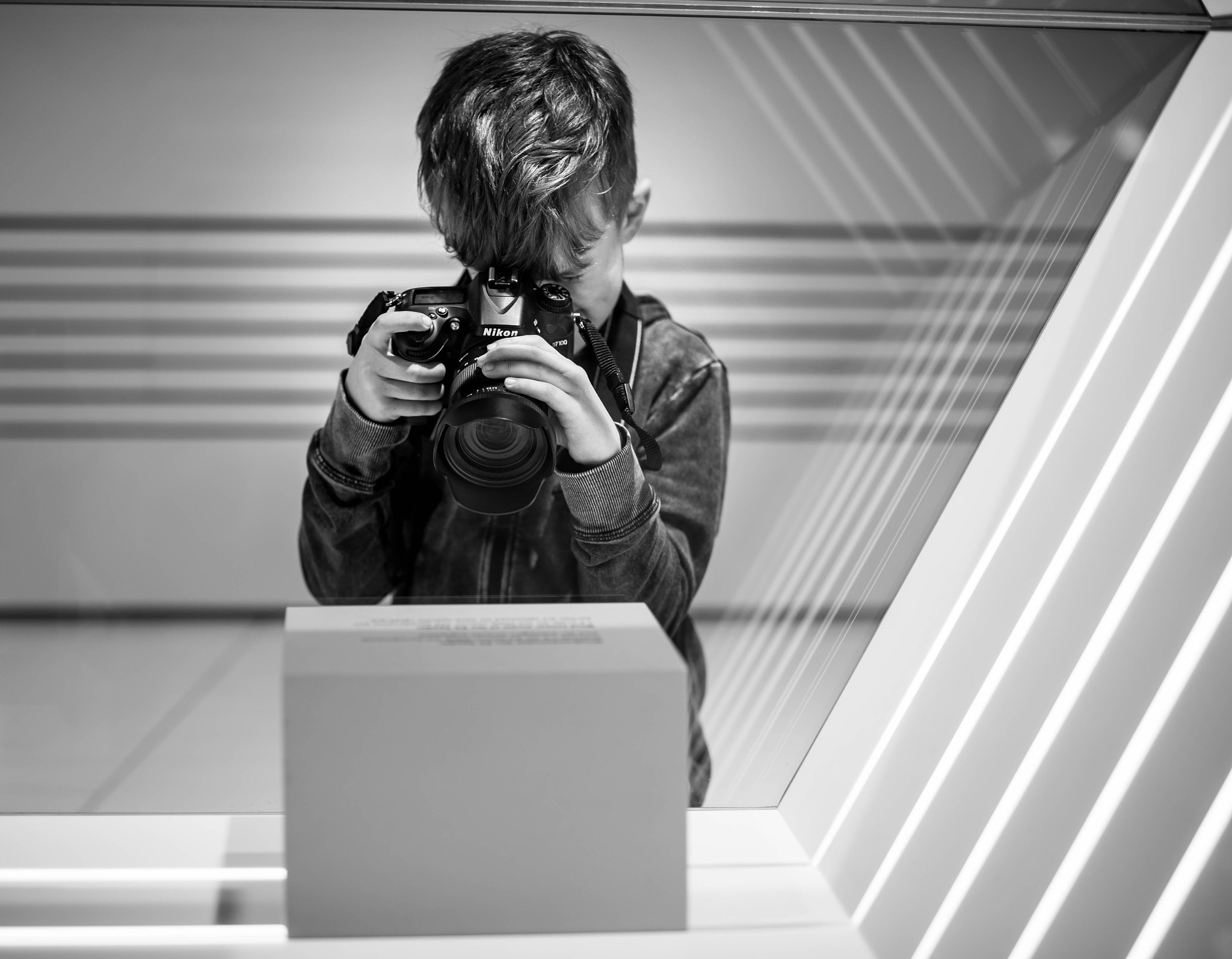 ZEISS Milvus 50mm F1.4 sample photo. Kleiner profi photography