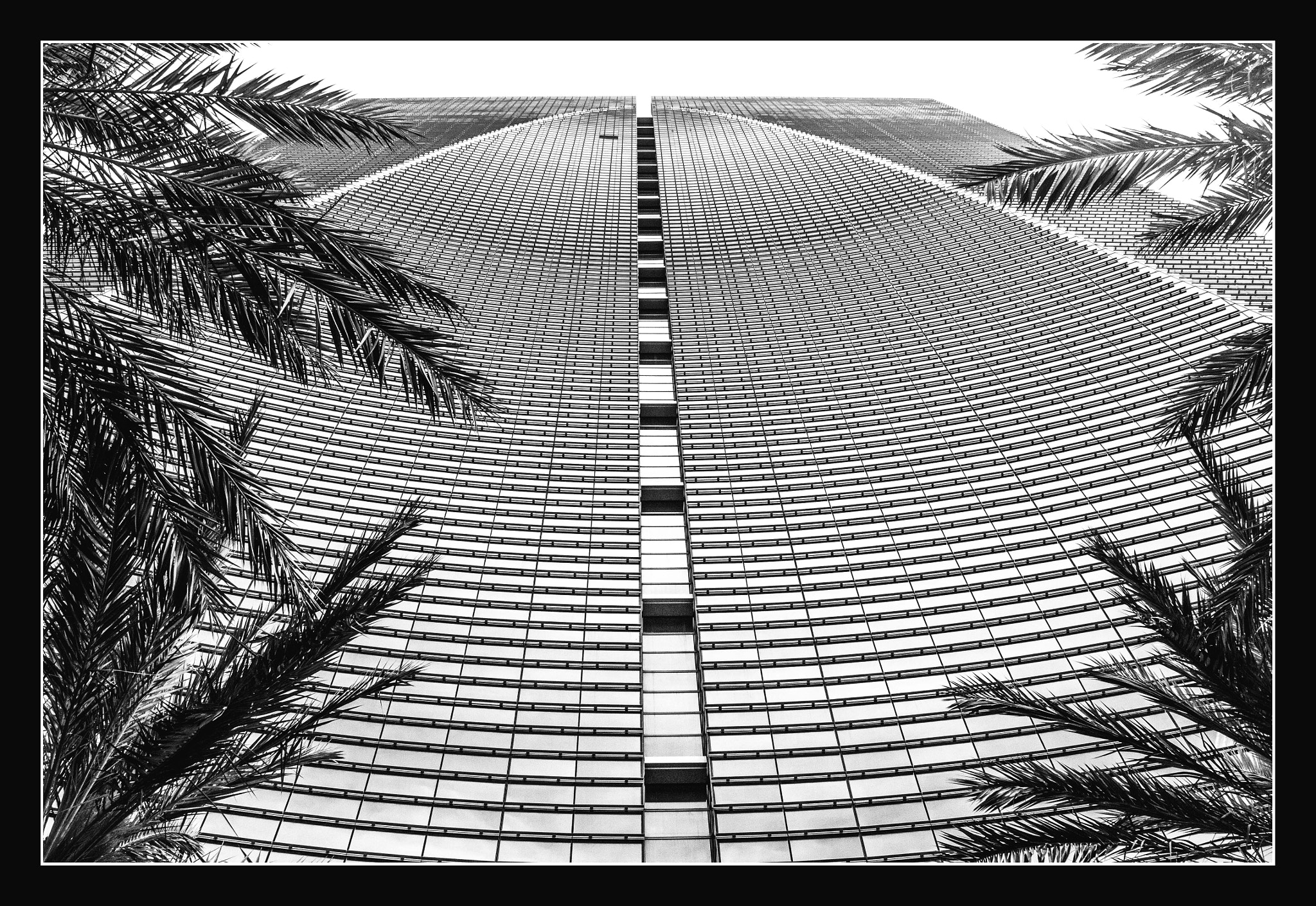 Canon EF 24-85mm F3.5-4.5 USM sample photo. Miami photography