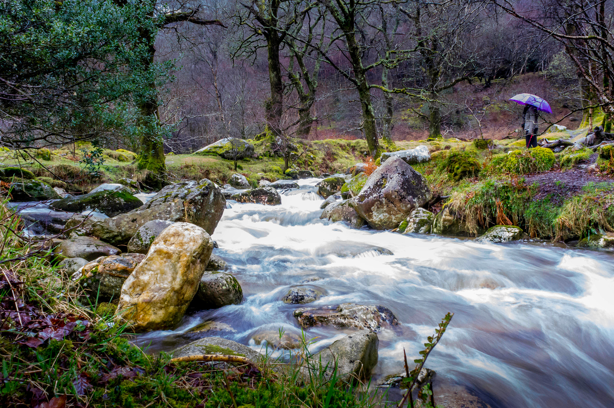 Sony SLT-A55 (SLT-A55V) sample photo. Glendalough photography