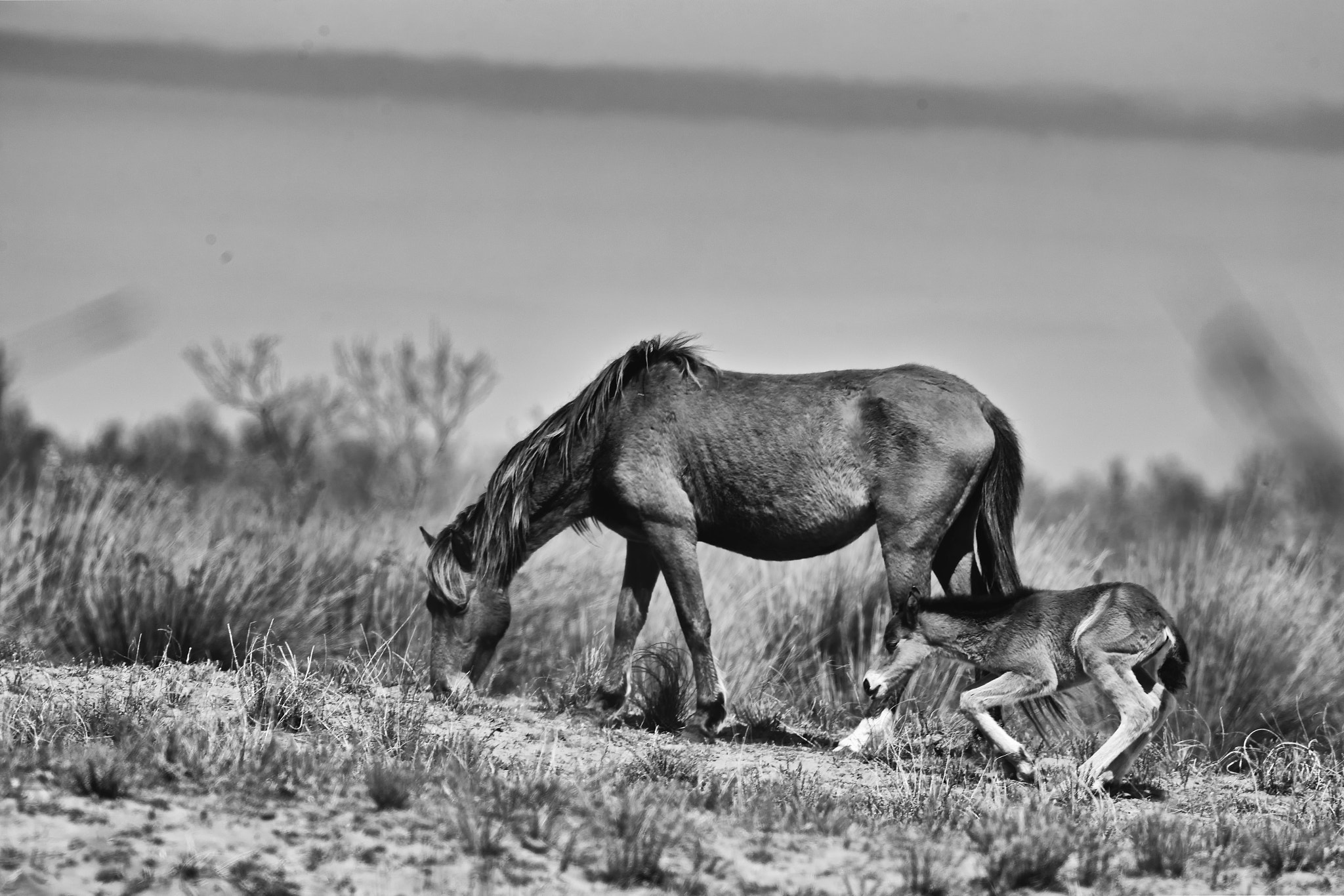 Canon EOS 6D + Canon EF 400mm F5.6L USM sample photo. Mum and daughter! photography