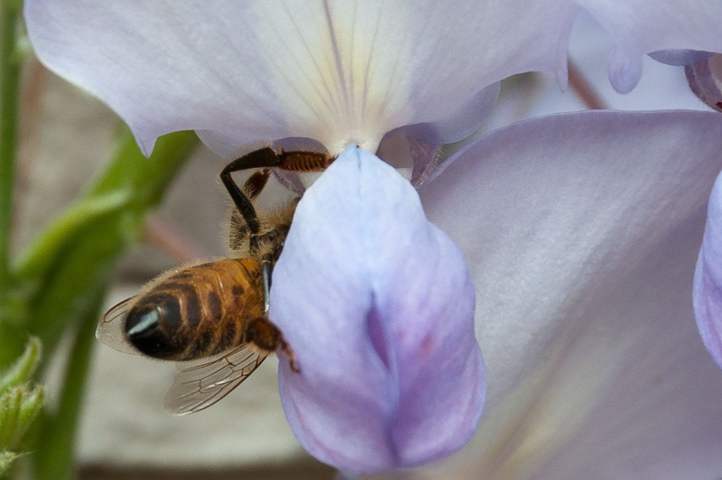 Sigma 17-70mm F2.8-4 DC Macro OS HSM | C sample photo. Anybody in? photography