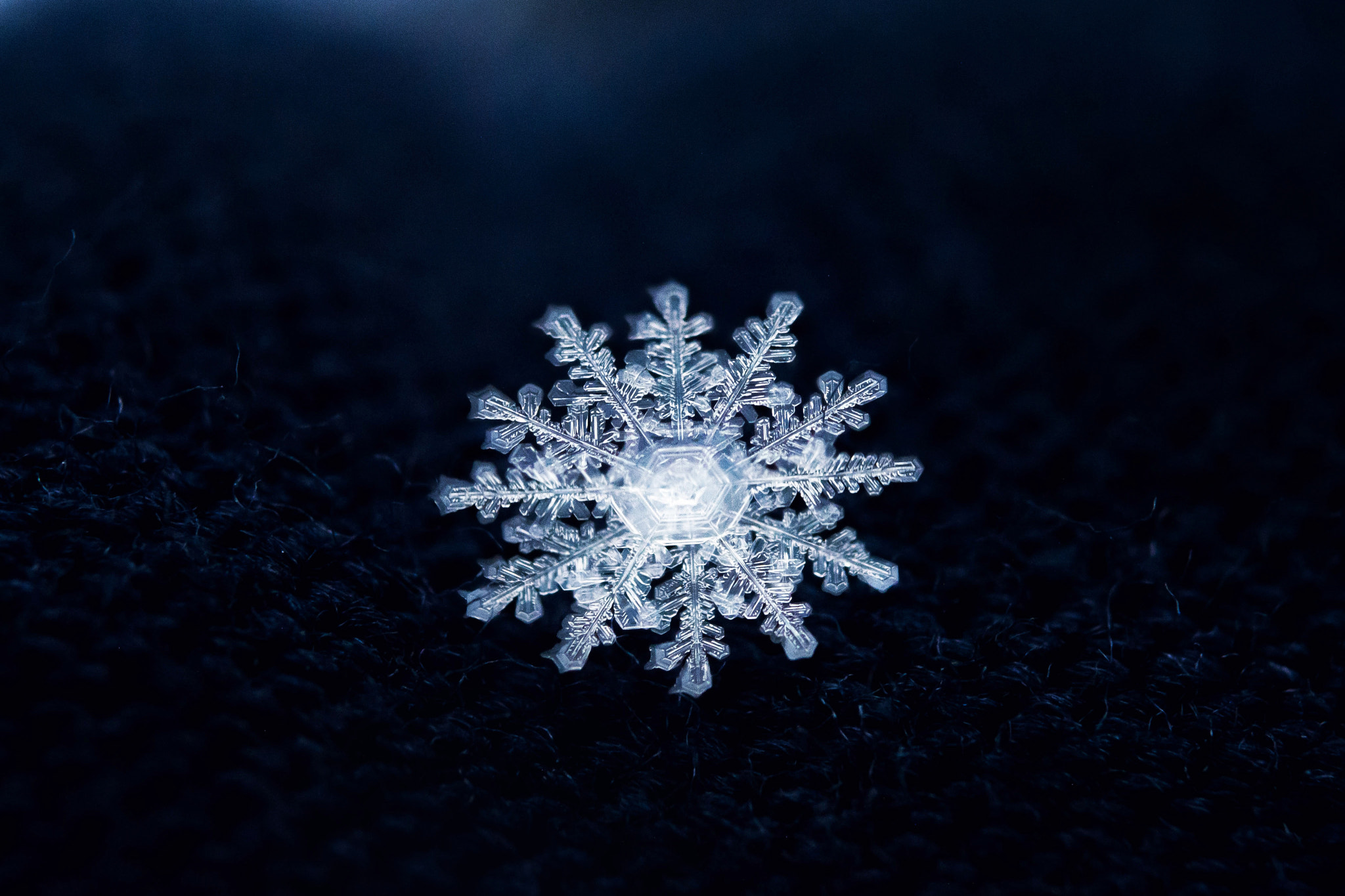 Sigma 50mm F2.8 EX DG Macro sample photo. Snow crystal 3/11 photography