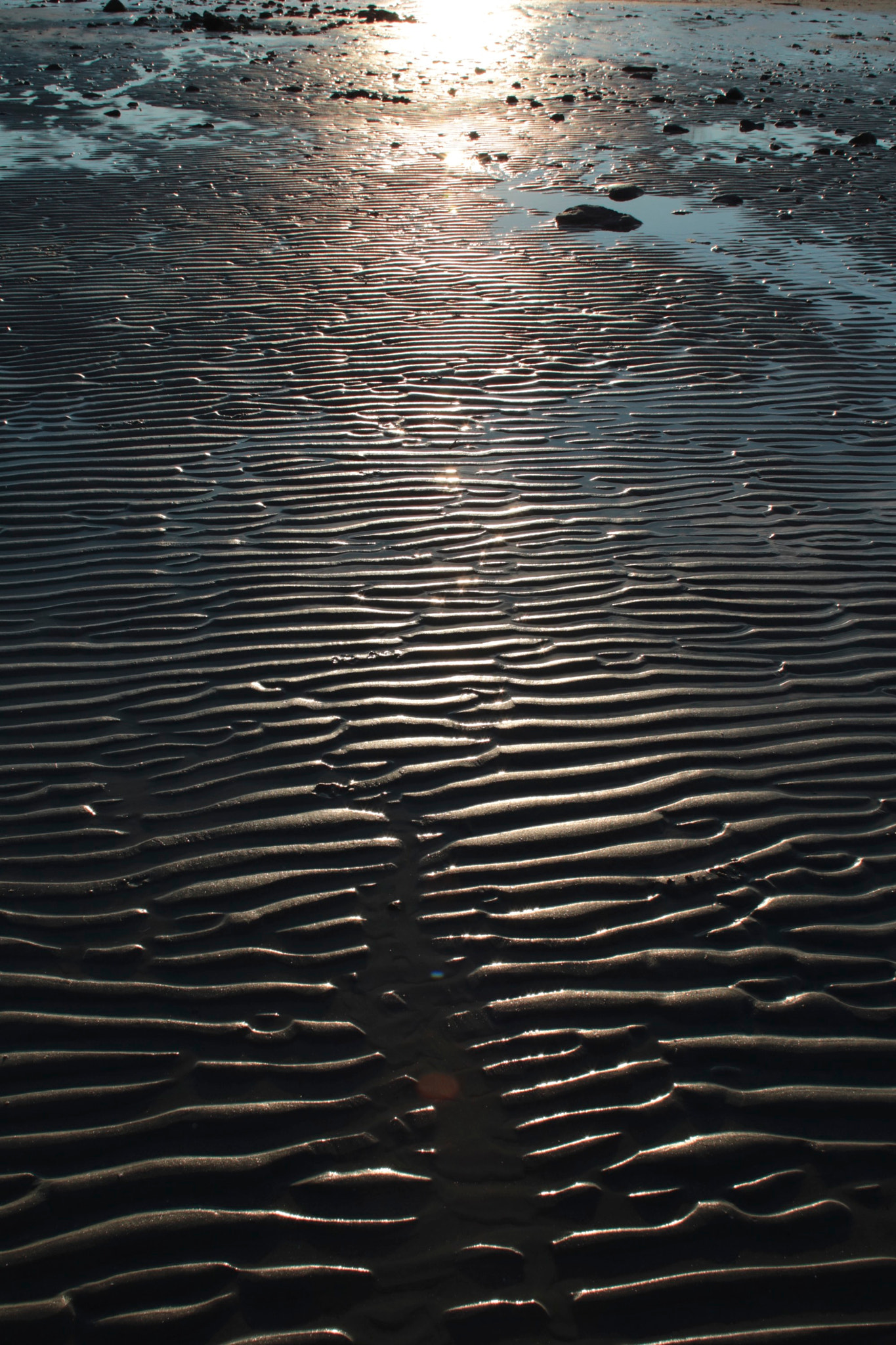Canon EOS 750D (EOS Rebel T6i / EOS Kiss X8i) + Canon EF 24mm f/1.4L sample photo. Winter sand photography