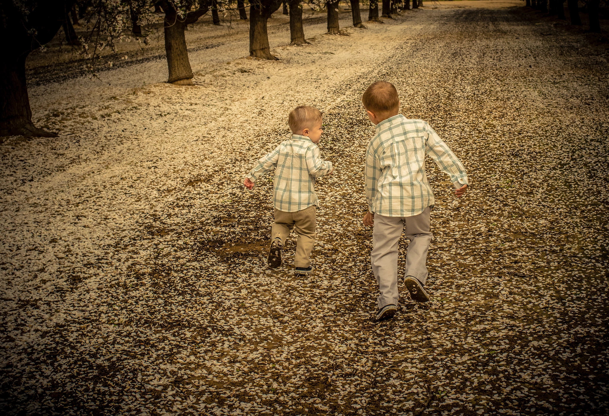 Canon EF 35mm F2 IS USM sample photo. Boys will be boys photography