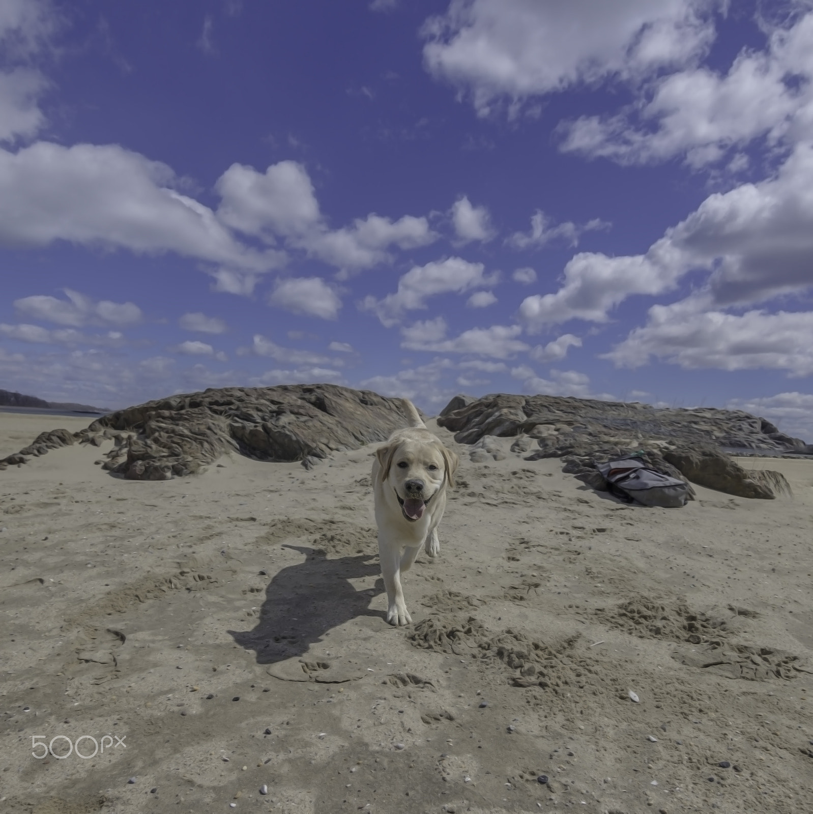 Canon EOS 1200D (EOS Rebel T5 / EOS Kiss X70 / EOS Hi) sample photo. Gunnar on the beach photography