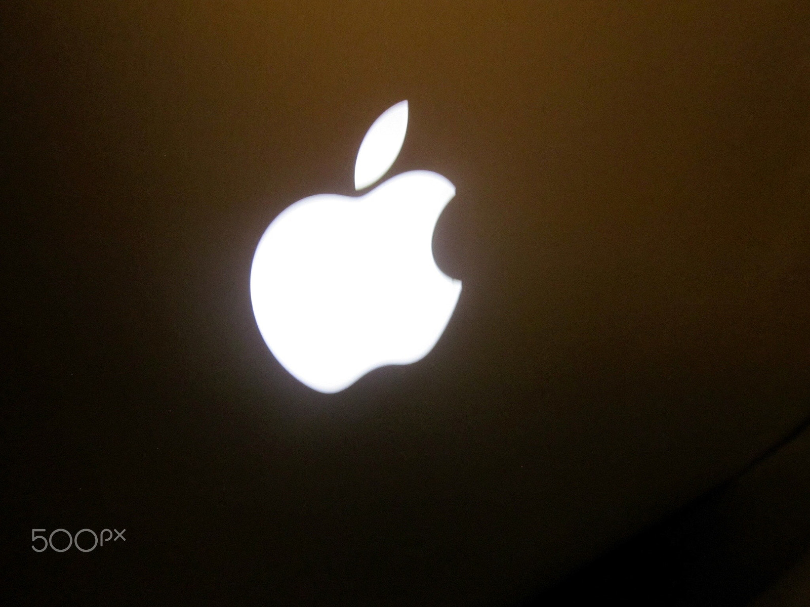 Canon PowerShot SD1300 IS (IXUS 105 / IXY 200F) sample photo. Apple logo on macbook pro photography